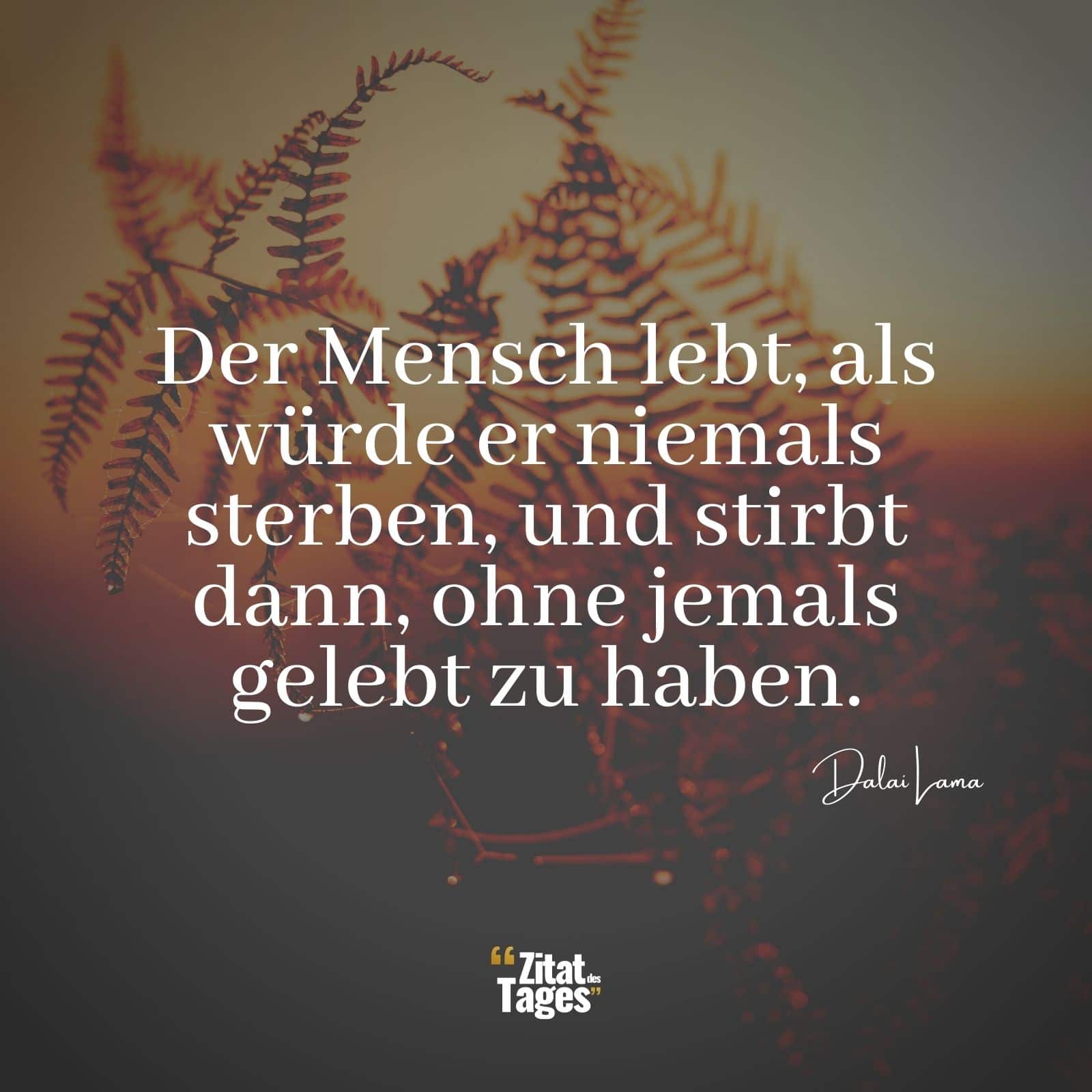 Der Mensch lebt, als würde er niemals sterben, und stirbt dann, ohne jemals gelebt zu haben. - Dalai Lama