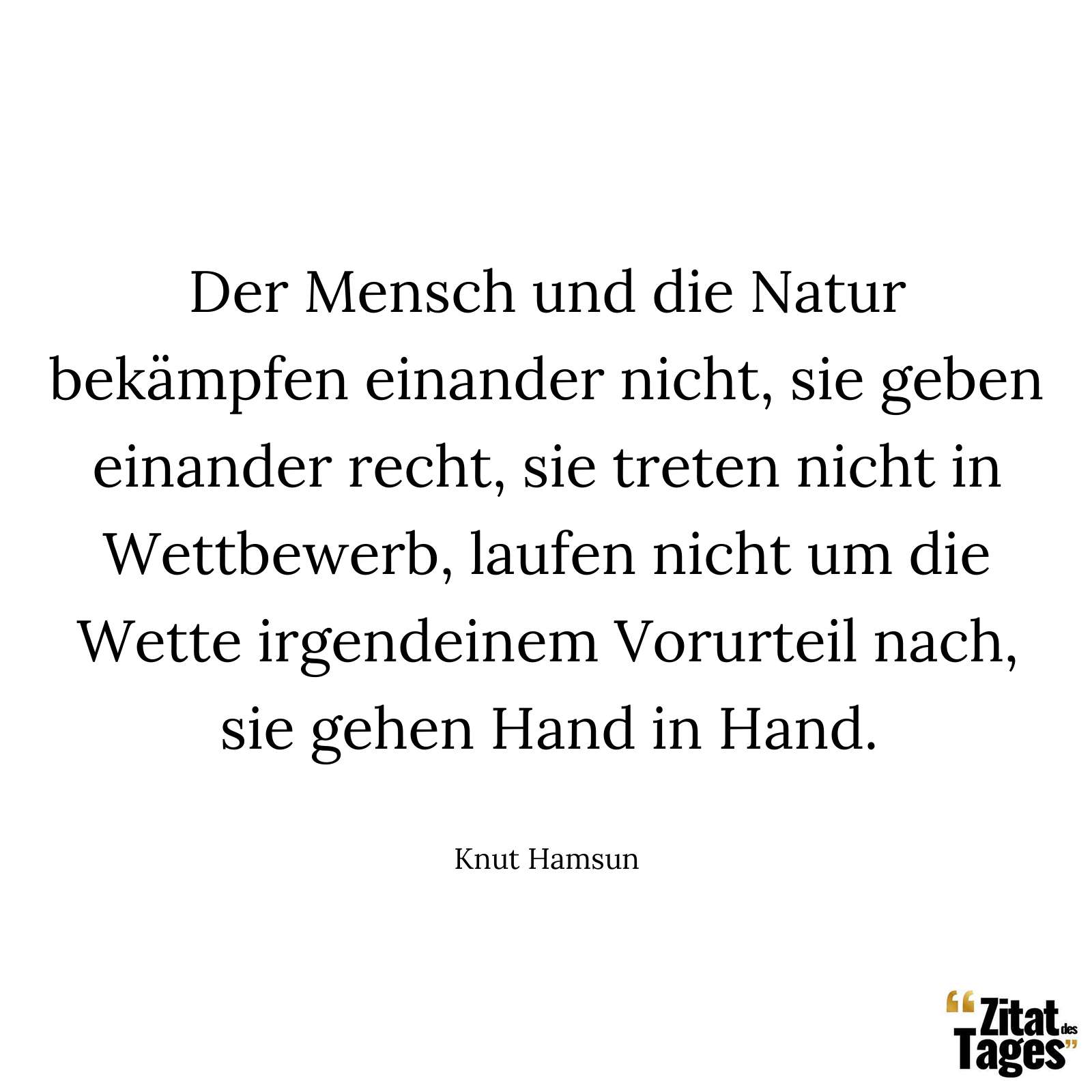 Der Mensch und die Natur bekämpfen einander nicht, sie geben einander recht, sie treten nicht in Wettbewerb, laufen nicht um die Wette irgendeinem Vorurteil nach, sie gehen Hand in Hand. - Knut Hamsun