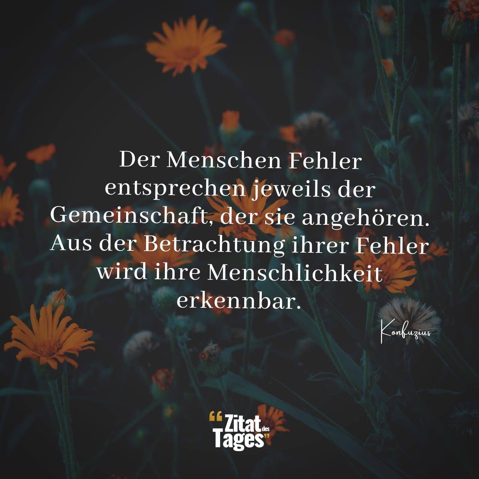 Der Menschen Fehler entsprechen jeweils der Gemeinschaft, der sie angehören. Aus der Betrachtung ihrer Fehler wird ihre Menschlichkeit erkennbar. - Konfuzius