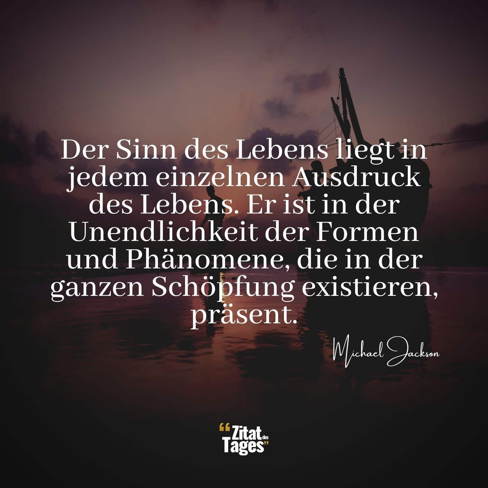 Der Sinn des Lebens liegt in jedem einzelnen Ausdruck des Lebens. Er ist in der Unendlichkeit der Formen und Phänomene, die in der ganzen Schöpfung existieren, präsent. - Michael Jackson