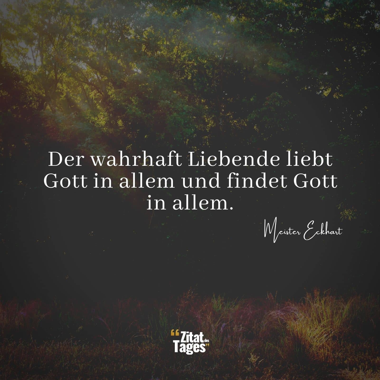 Der wahrhaft Liebende liebt Gott in allem und findet Gott in allem. - Meister Eckhart