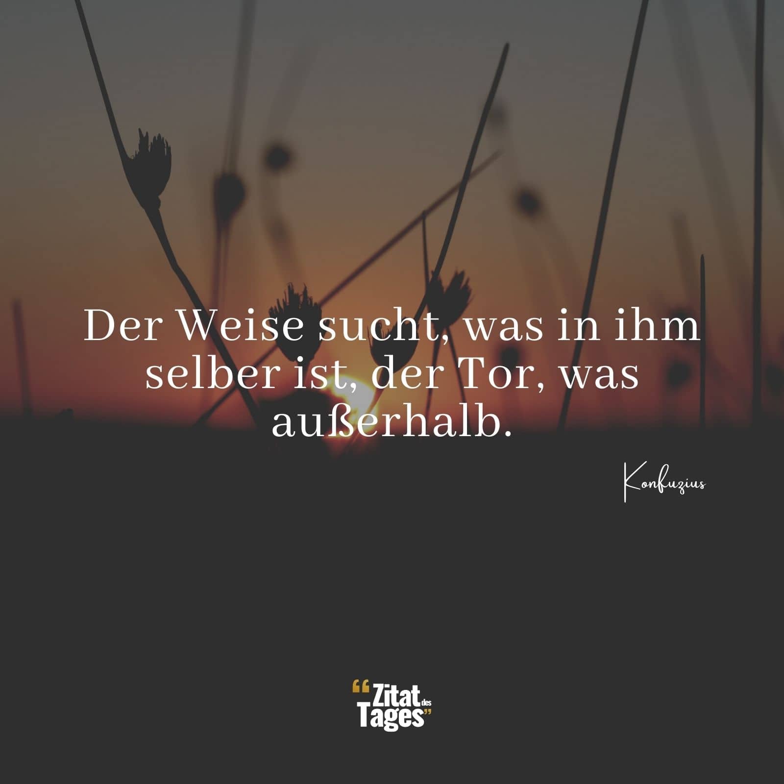 Der Weise sucht, was in ihm selber ist, der Tor, was außerhalb. - Konfuzius