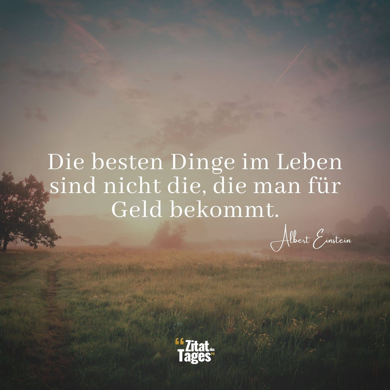 Die besten Dinge im Leben sind nicht die, die man für Geld bekommt. - Albert Einstein