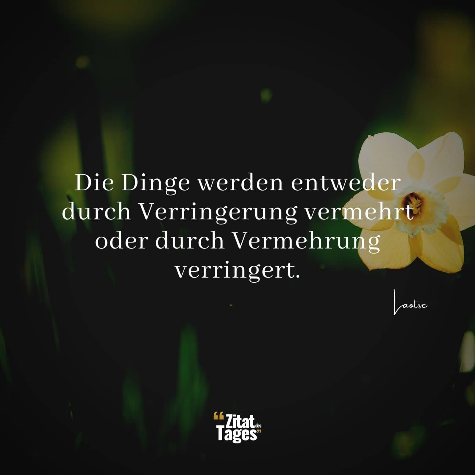 Die Dinge werden entweder durch Verringerung vermehrt oder durch Vermehrung verringert. - Laotse