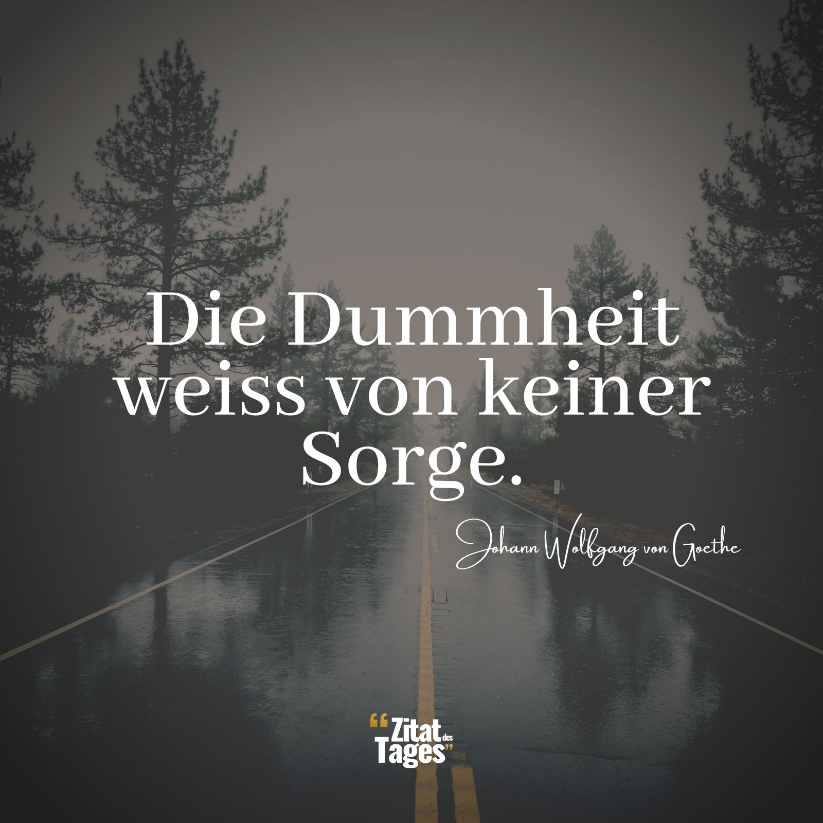 Die Dummheit weiss von keiner Sorge. - Johann Wolfgang von Goethe