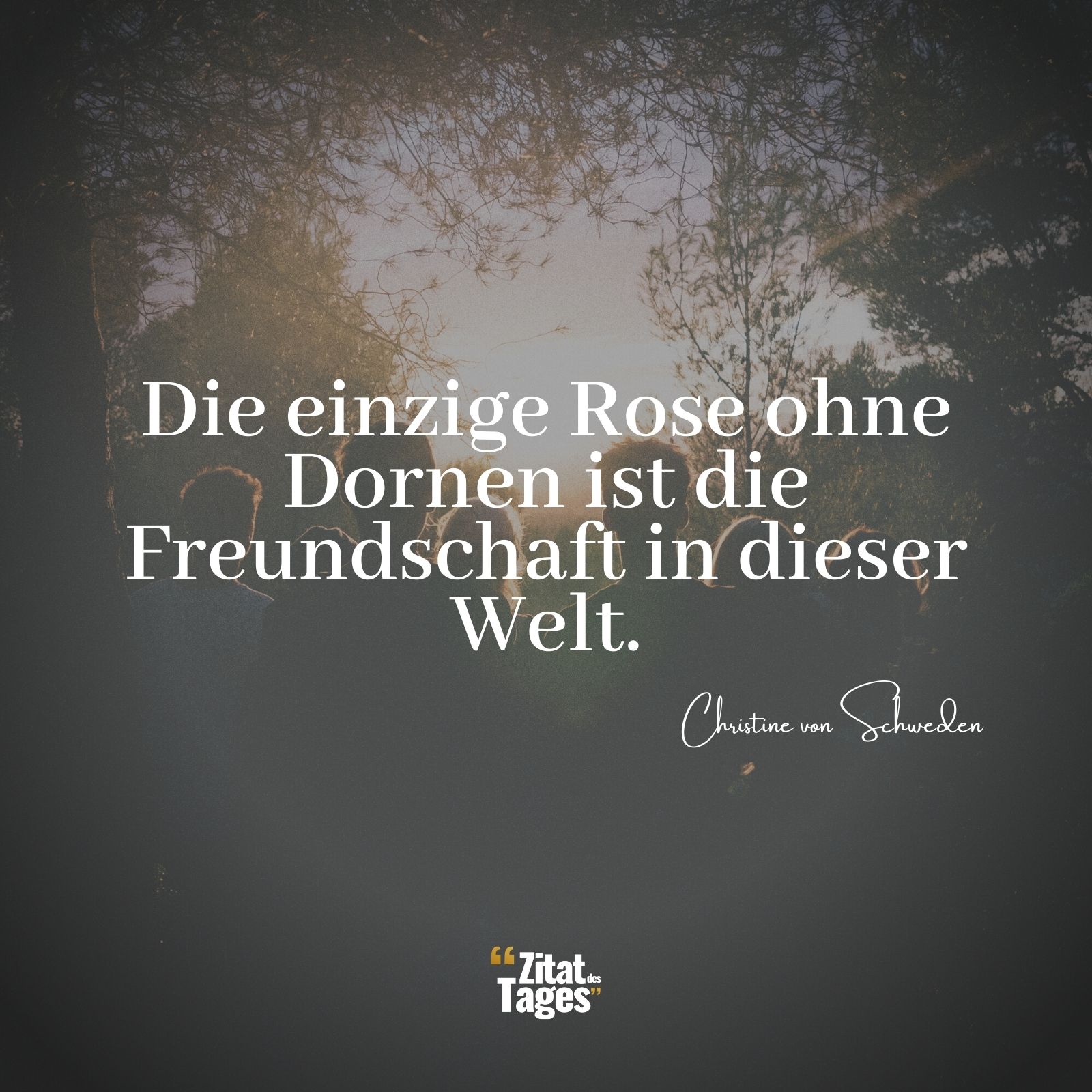 Die einzige Rose ohne Dornen ist die Freundschaft in dieser Welt. - Christine von Schweden