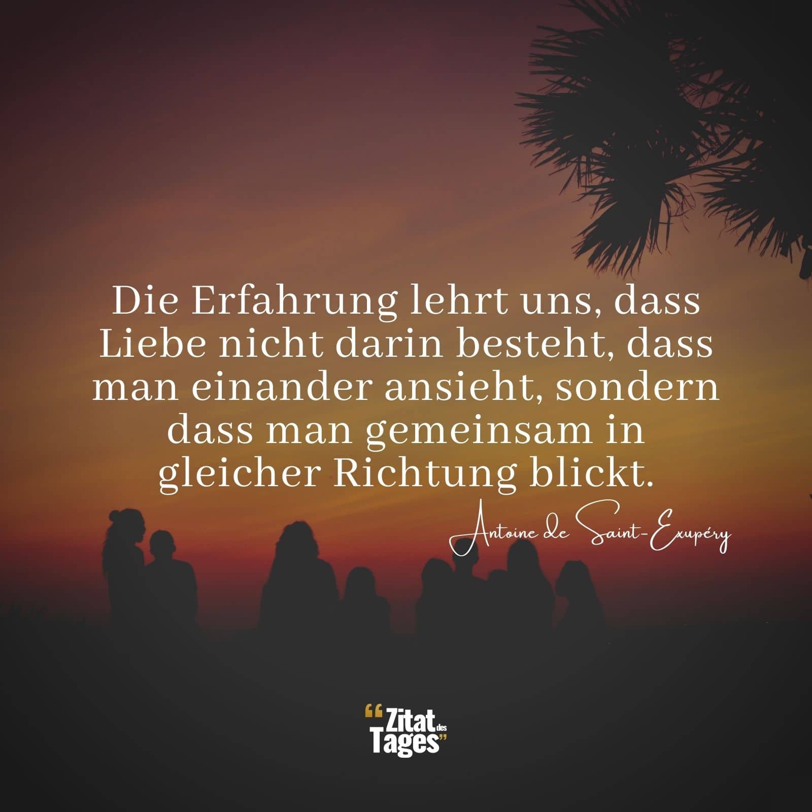 Die Erfahrung lehrt uns, dass Liebe nicht darin besteht, dass man einander ansieht, sondern dass man gemeinsam in gleicher Richtung blickt. - Antoine de Saint-Exupéry