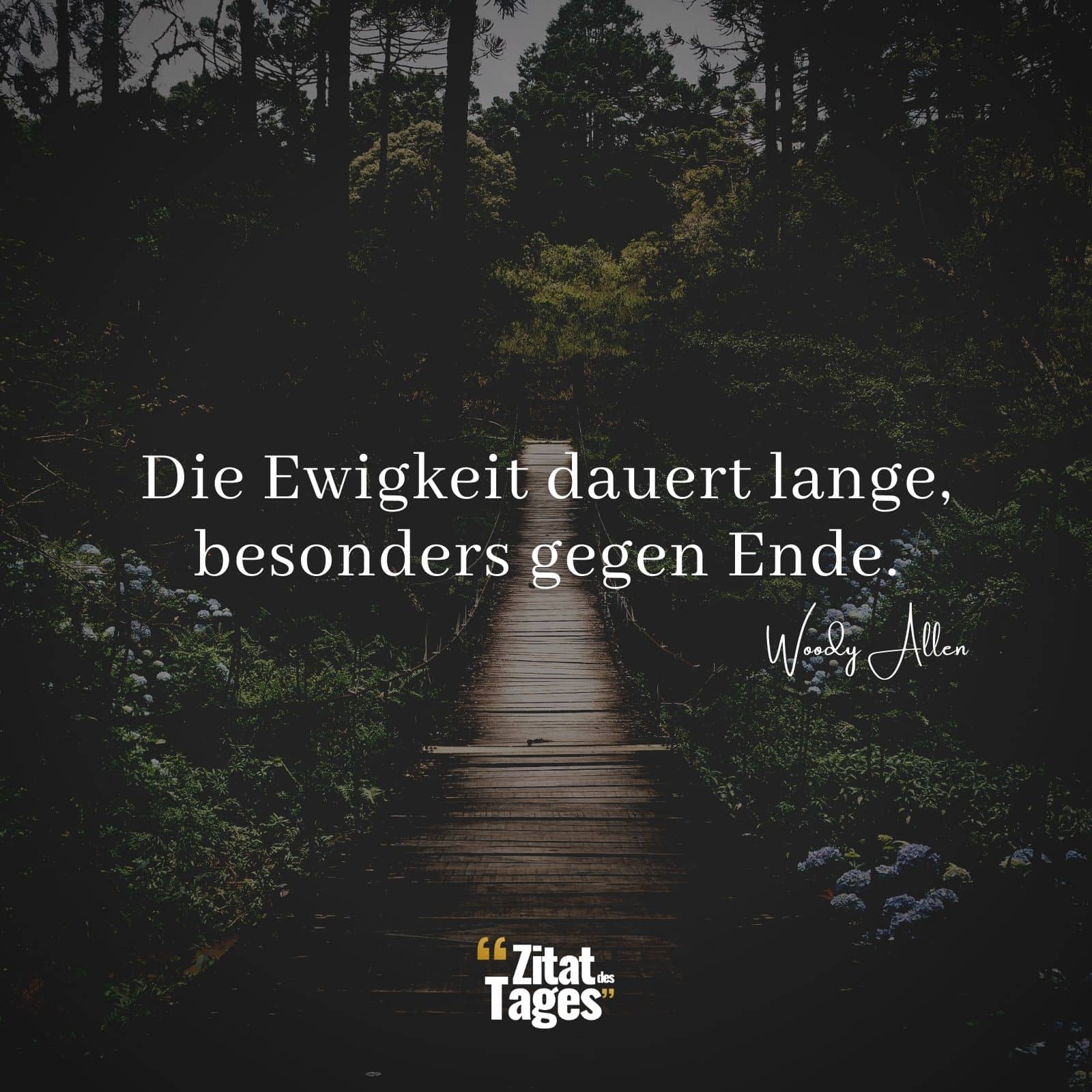 Die Ewigkeit dauert lange, besonders gegen Ende. - Woody Allen