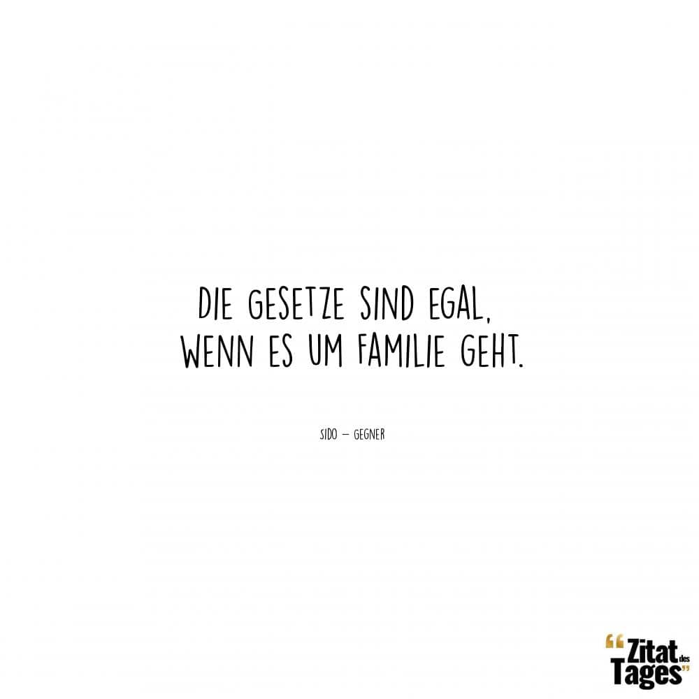 Die Gesetze sind egal, wenn es um Familie geht. - Sido