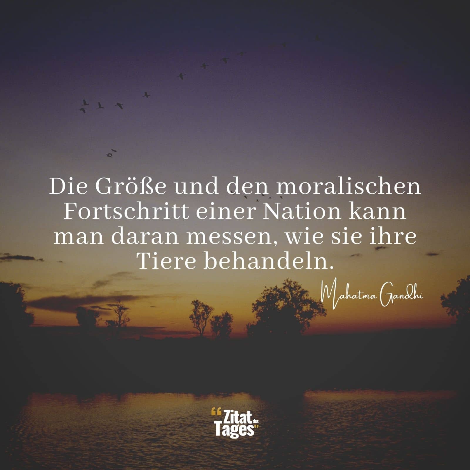 Die Größe und den moralischen Fortschritt einer Nation kann man daran messen, wie sie ihre Tiere behandeln. - Mahatma Gandhi