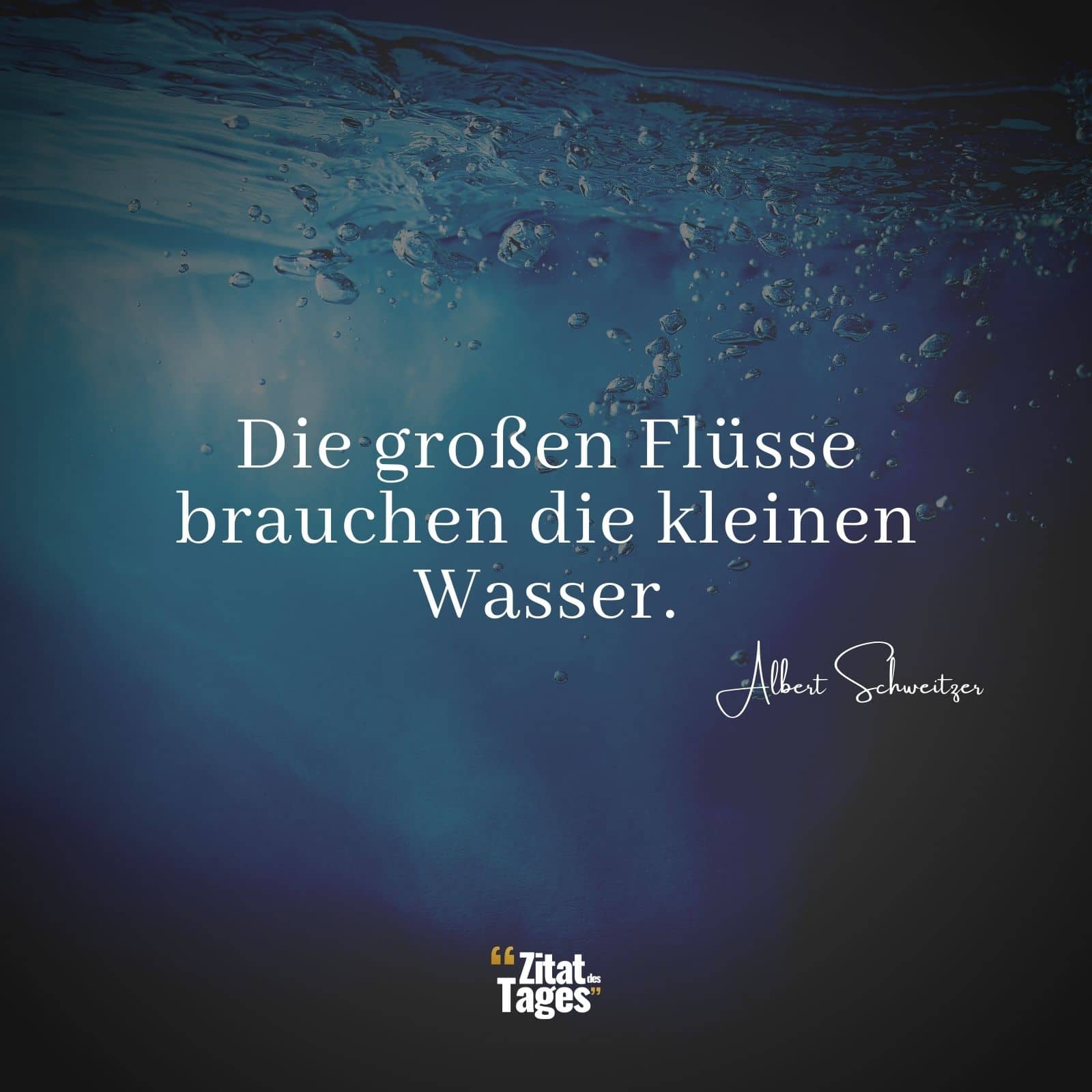 Die großen Flüsse brauchen die kleinen Wasser. - Albert Schweitzer