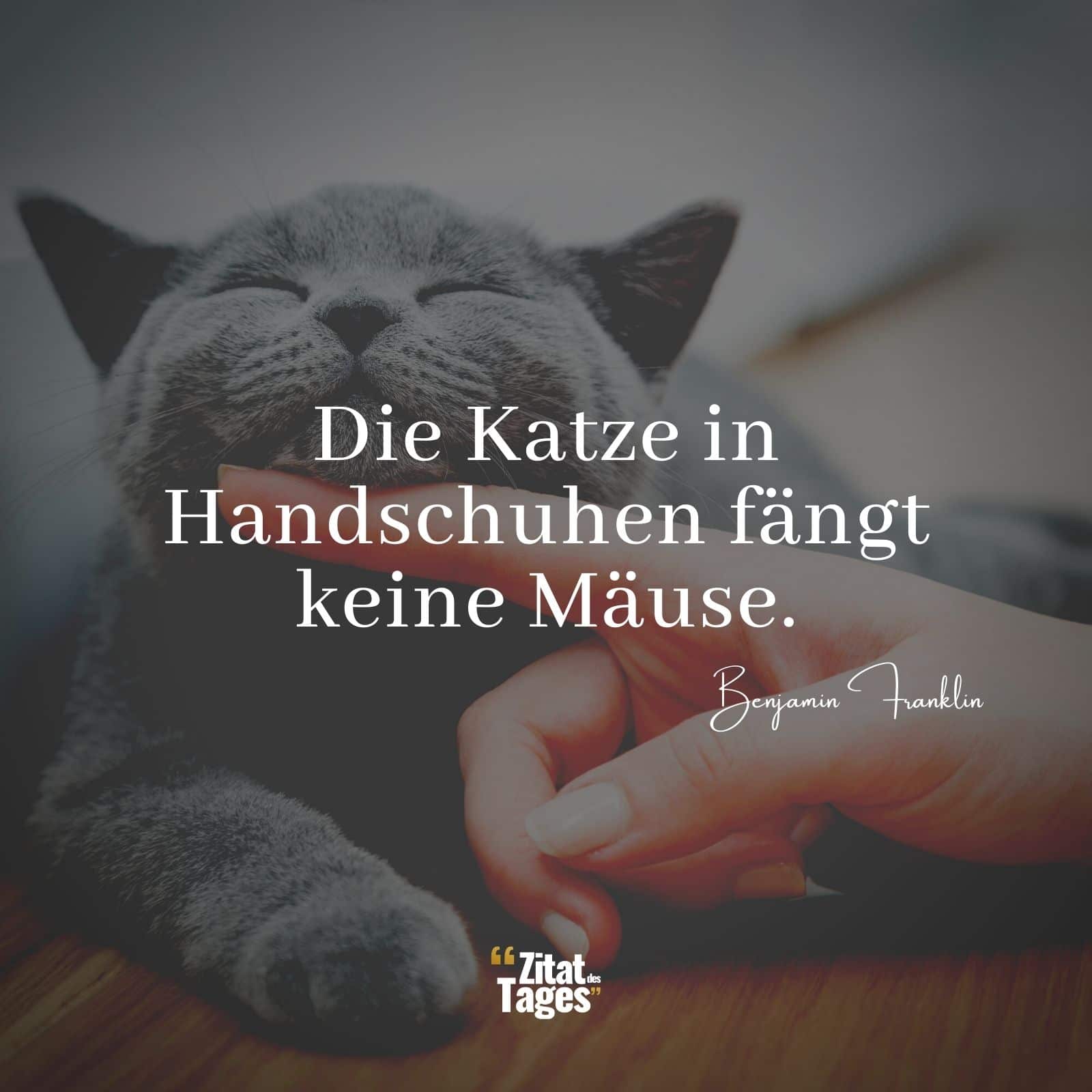 Die Katze in Handschuhen fängt keine Mäuse. - Benjamin Franklin