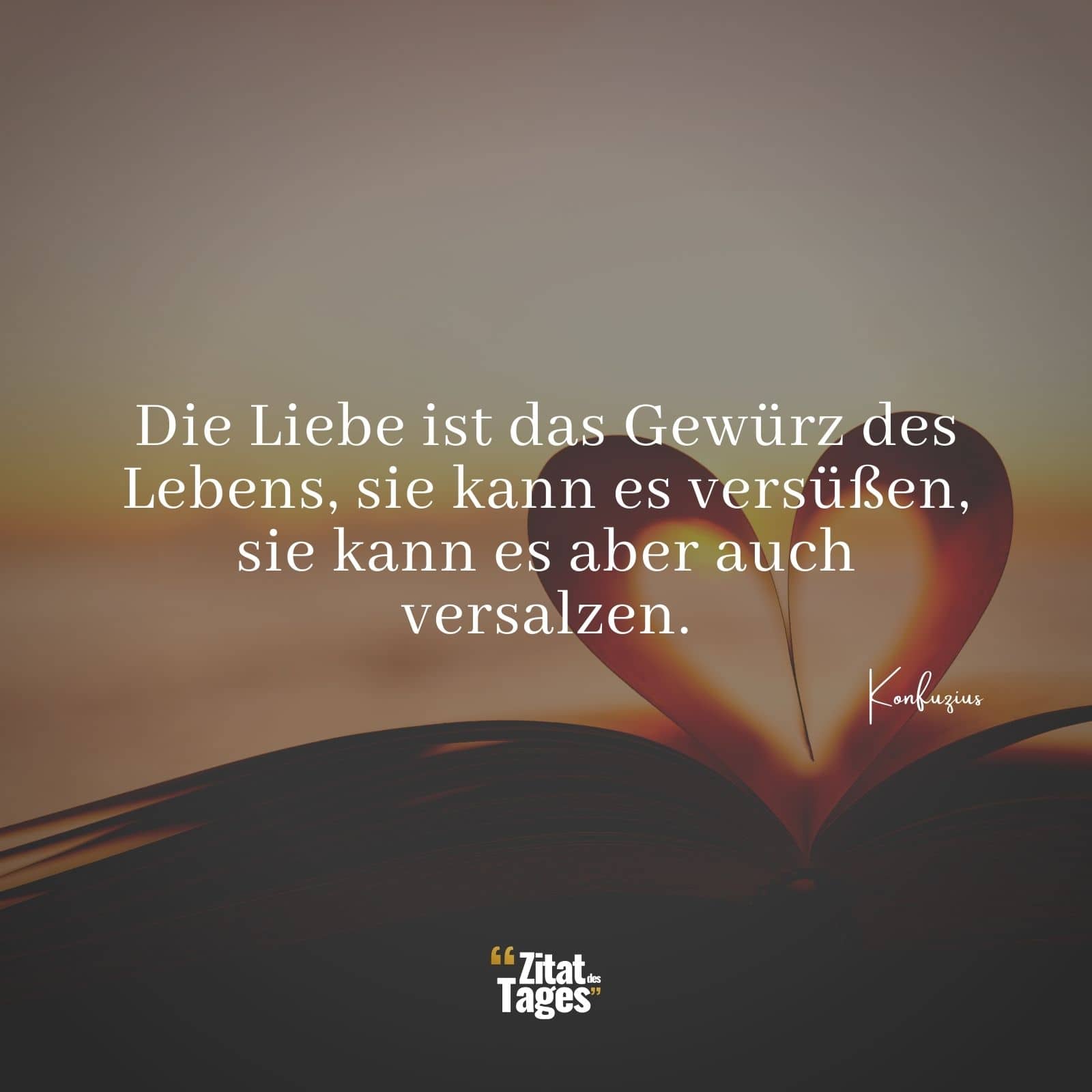 Die Liebe ist das Gewürz des Lebens, sie kann es versüßen, sie kann es aber auch versalzen. - Konfuzius