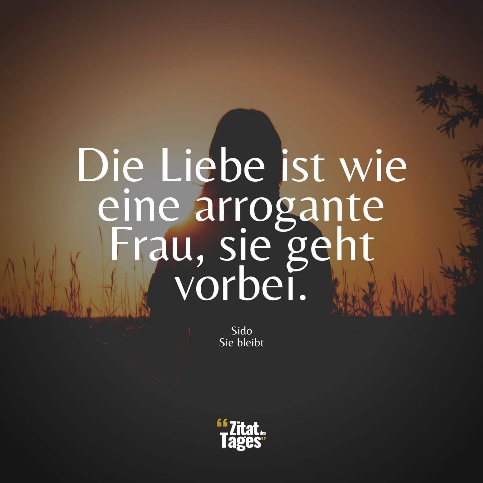 Die Liebe ist wie eine arrogante Frau, sie geht vorbei. - Sido