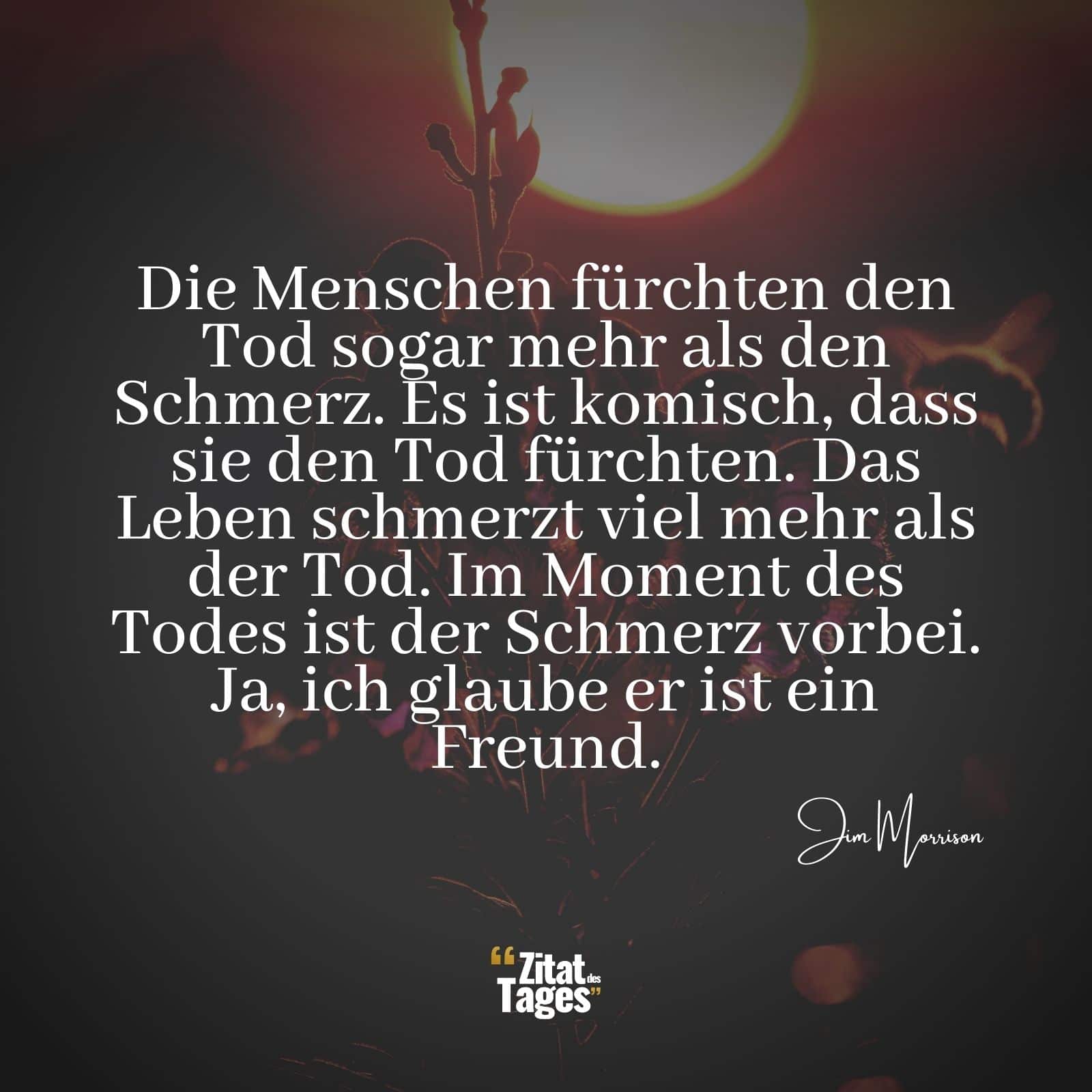 Die Menschen fürchten den Tod sogar mehr als den Schmerz. Es ist komisch, dass sie den Tod fürchten. Das Leben schmerzt viel mehr als der Tod. Im Moment des Todes ist der Schmerz vorbei. Ja, ich glaube er ist ein Freund. - Jim Morrison