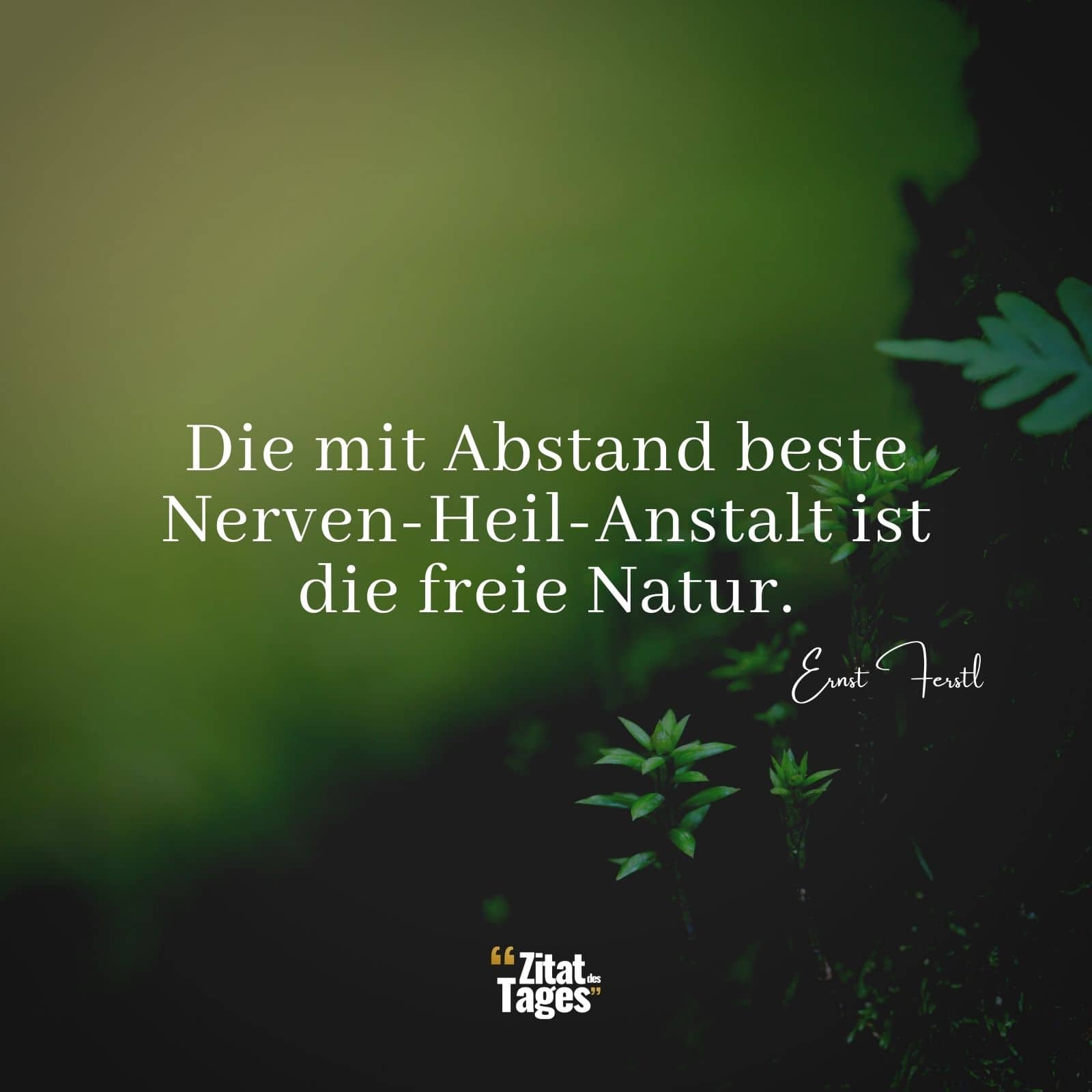 Die mit Abstand beste Nerven-Heil-Anstalt ist die freie Natur. - Ernst Ferstl