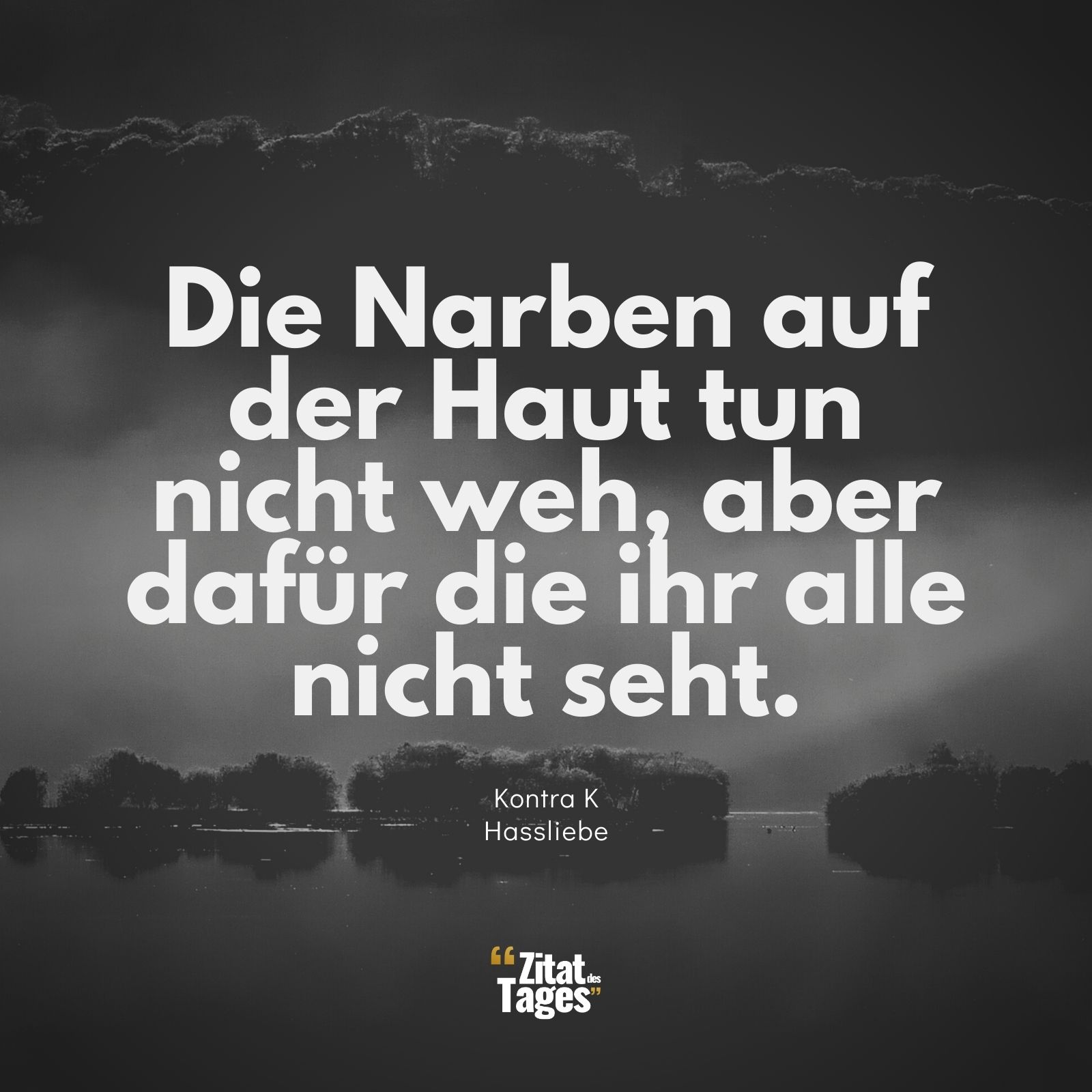 Die Narben auf der Haut tun nicht weh, aber dafür die ihr alle nicht seht. - Kontra K