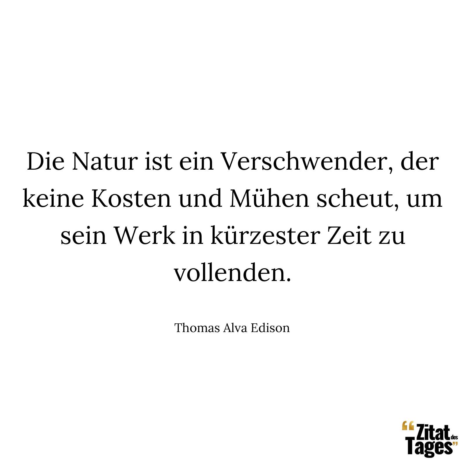 Die Natur ist ein Verschwender, der keine Kosten und Mühen scheut, um sein Werk in kürzester Zeit zu vollenden. - Thomas Alva Edison