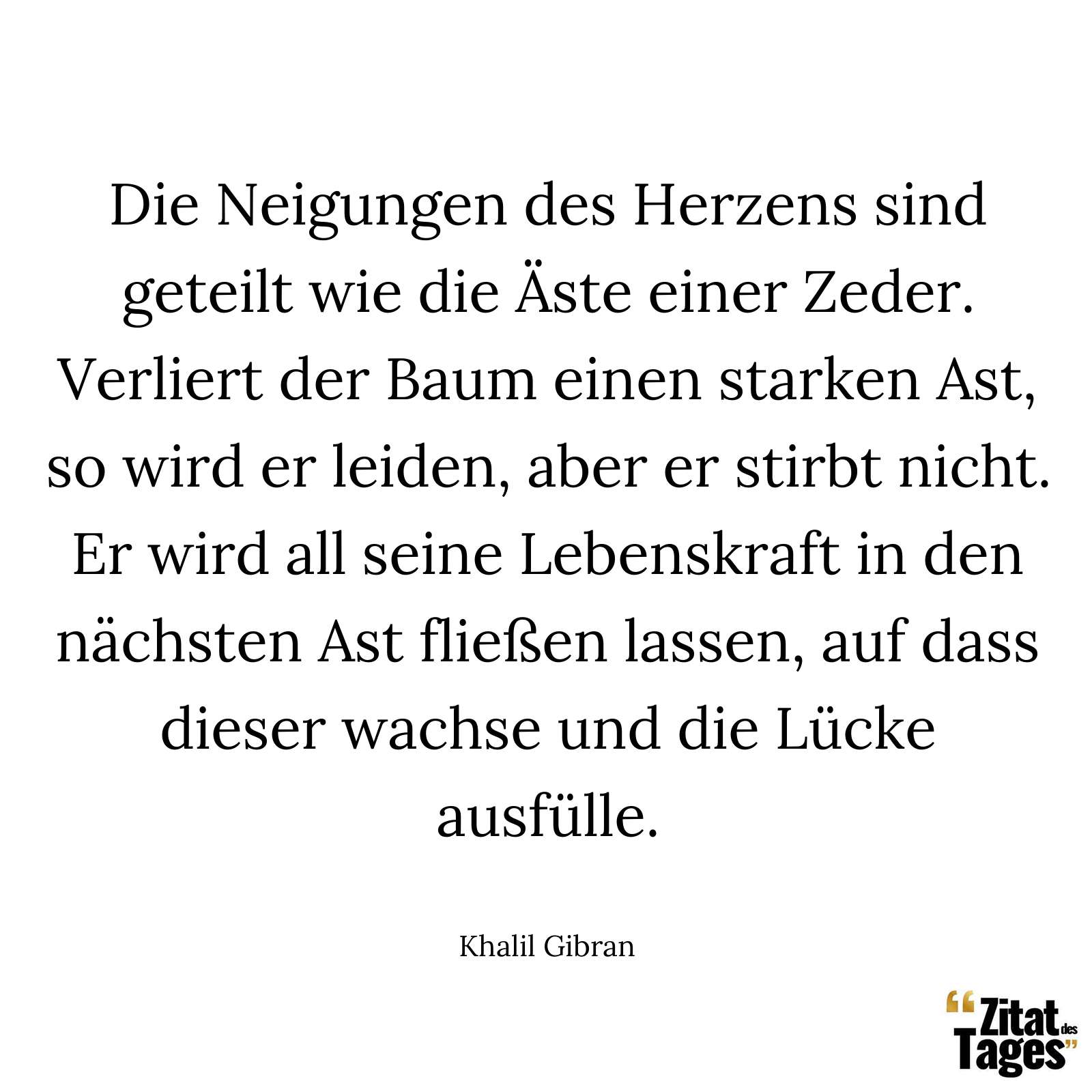 Die Neigungen des Herzens sind geteilt wie die Äste einer Zeder. Verliert der Baum einen starken Ast, so wird er leiden, aber er stirbt nicht. Er wird all seine Lebenskraft in den nächsten Ast fließen lassen, auf dass dieser wachse und die Lücke ausfülle. - Khalil Gibran