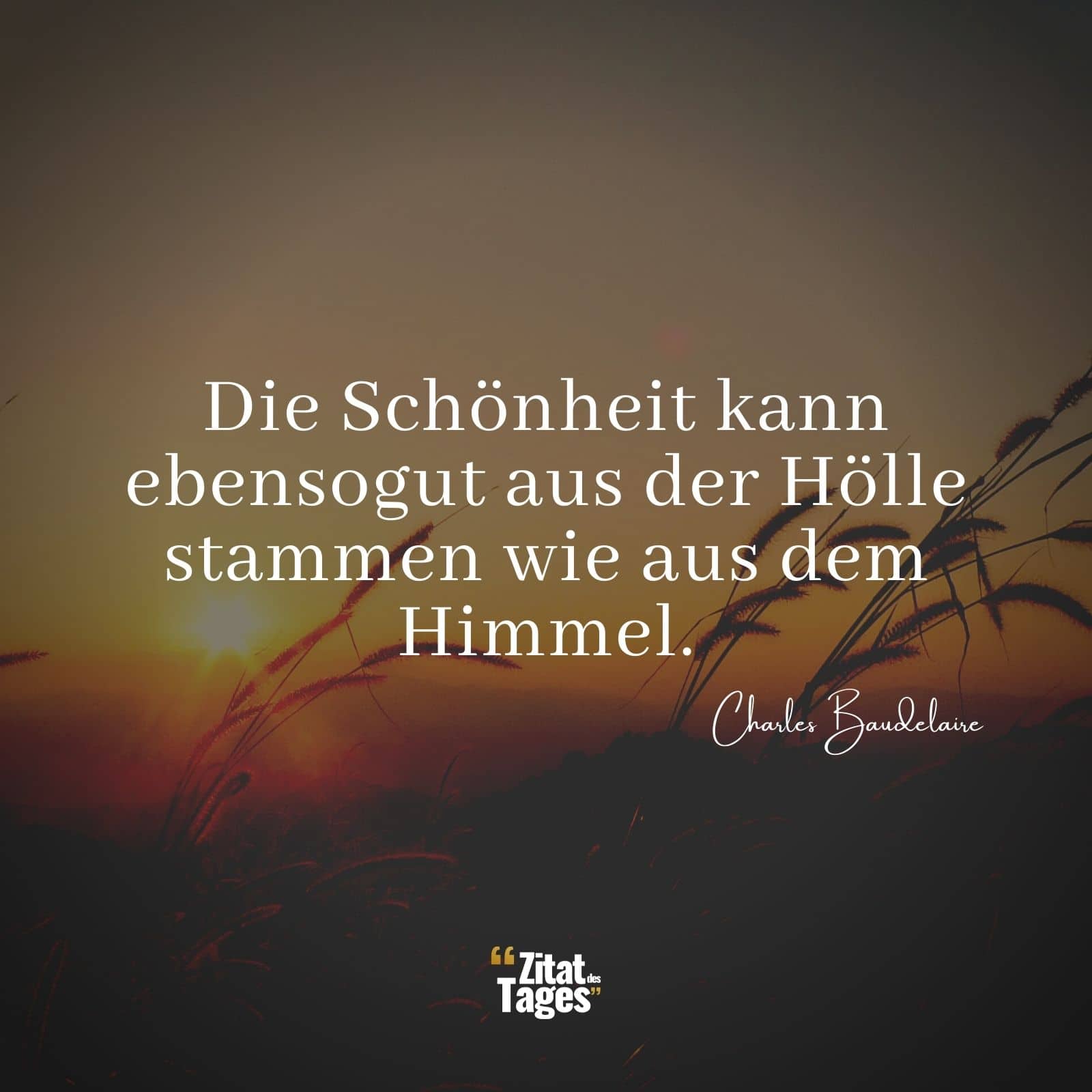 Die Schönheit kann ebensogut aus der Hölle stammen wie aus dem Himmel. - Charles Baudelaire