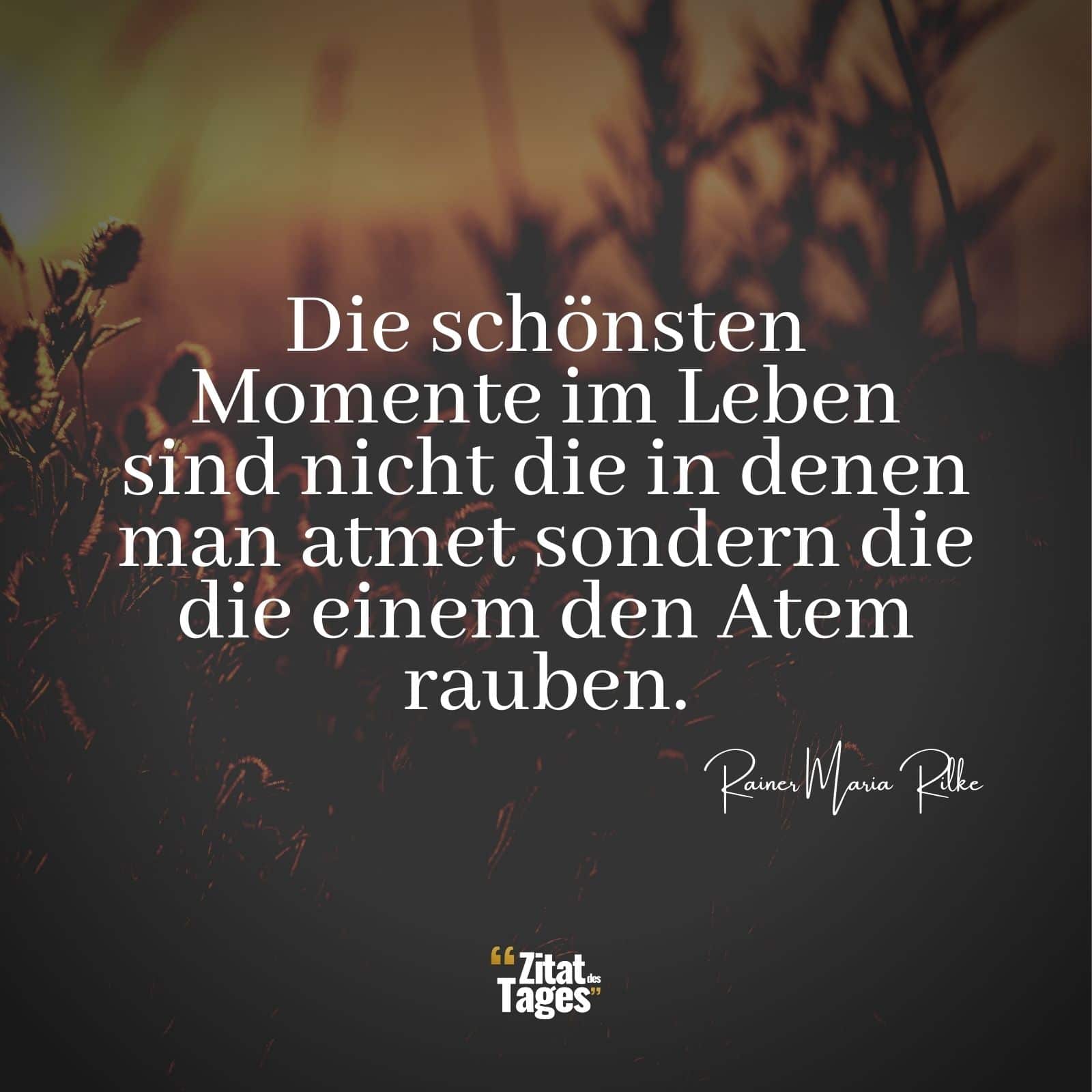 Die schönsten Momente im Leben sind nicht die in denen man atmet sondern die die einem den Atem rauben. - Rainer Maria Rilke