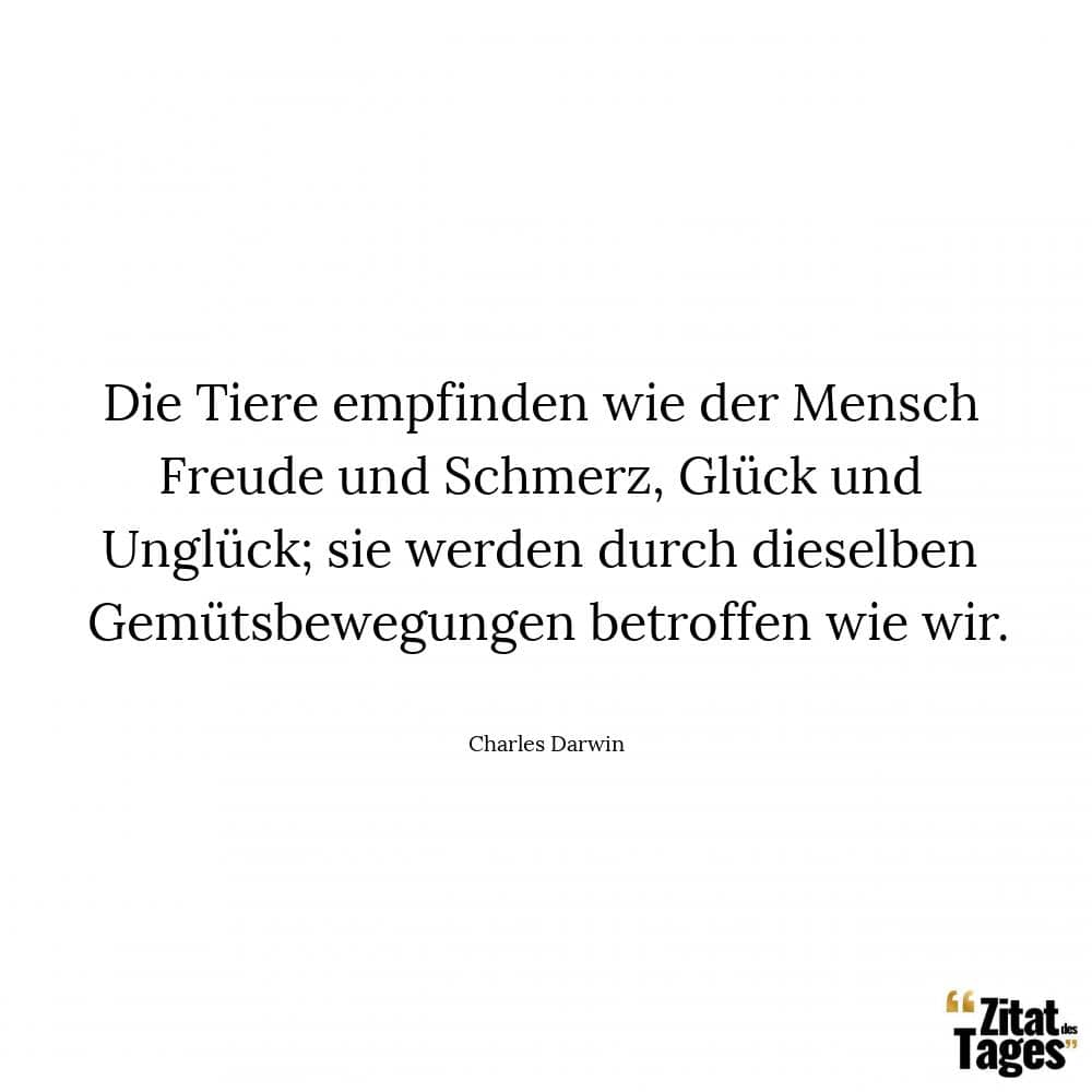 Die Tiere empfinden wie der Mensch Freude und Schmerz, Glück und Unglück; sie werden durch dieselben Gemütsbewegungen betroffen wie wir. - Charles Darwin