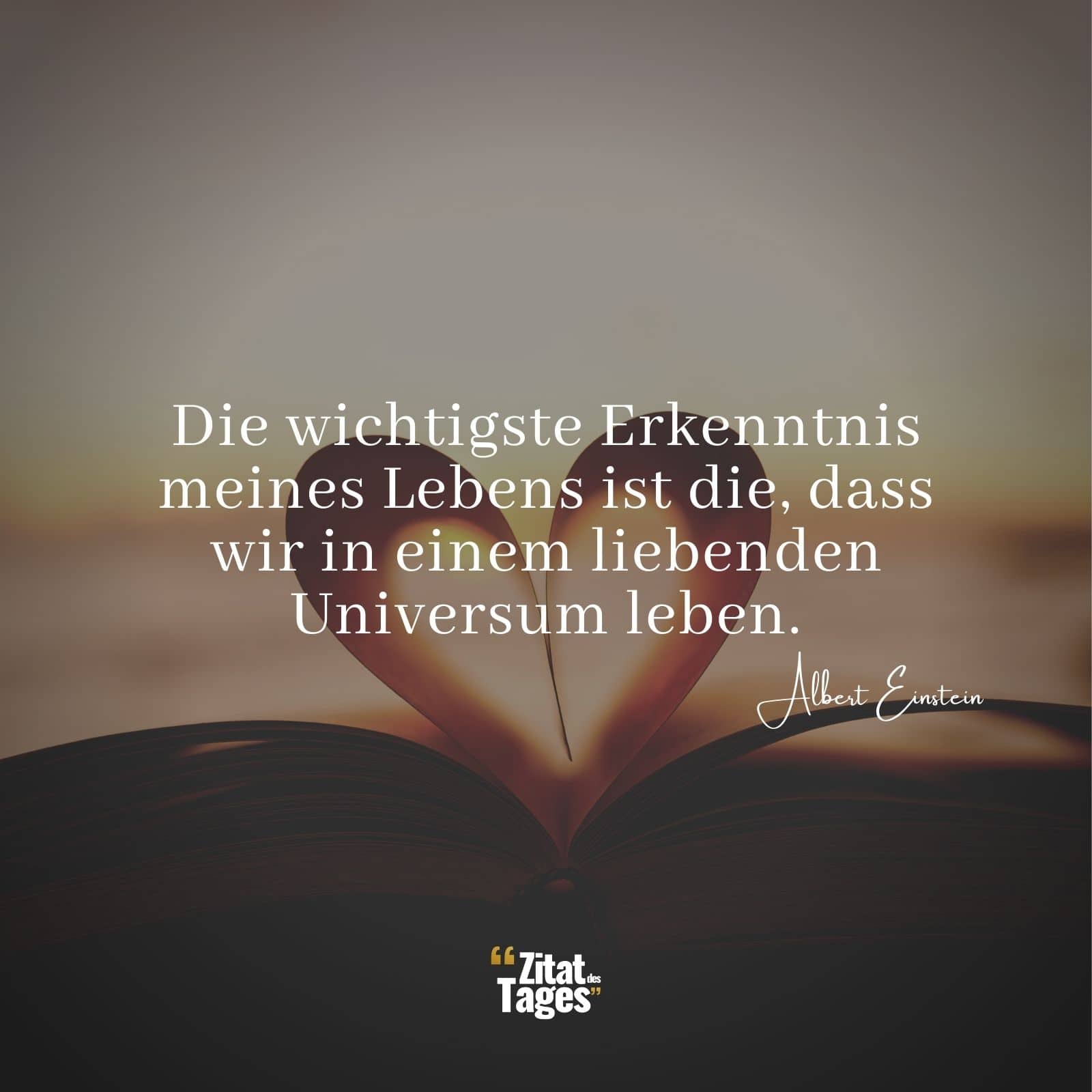 Die wichtigste Erkenntnis meines Lebens ist die, dass wir in einem liebenden Universum leben. - Albert Einstein