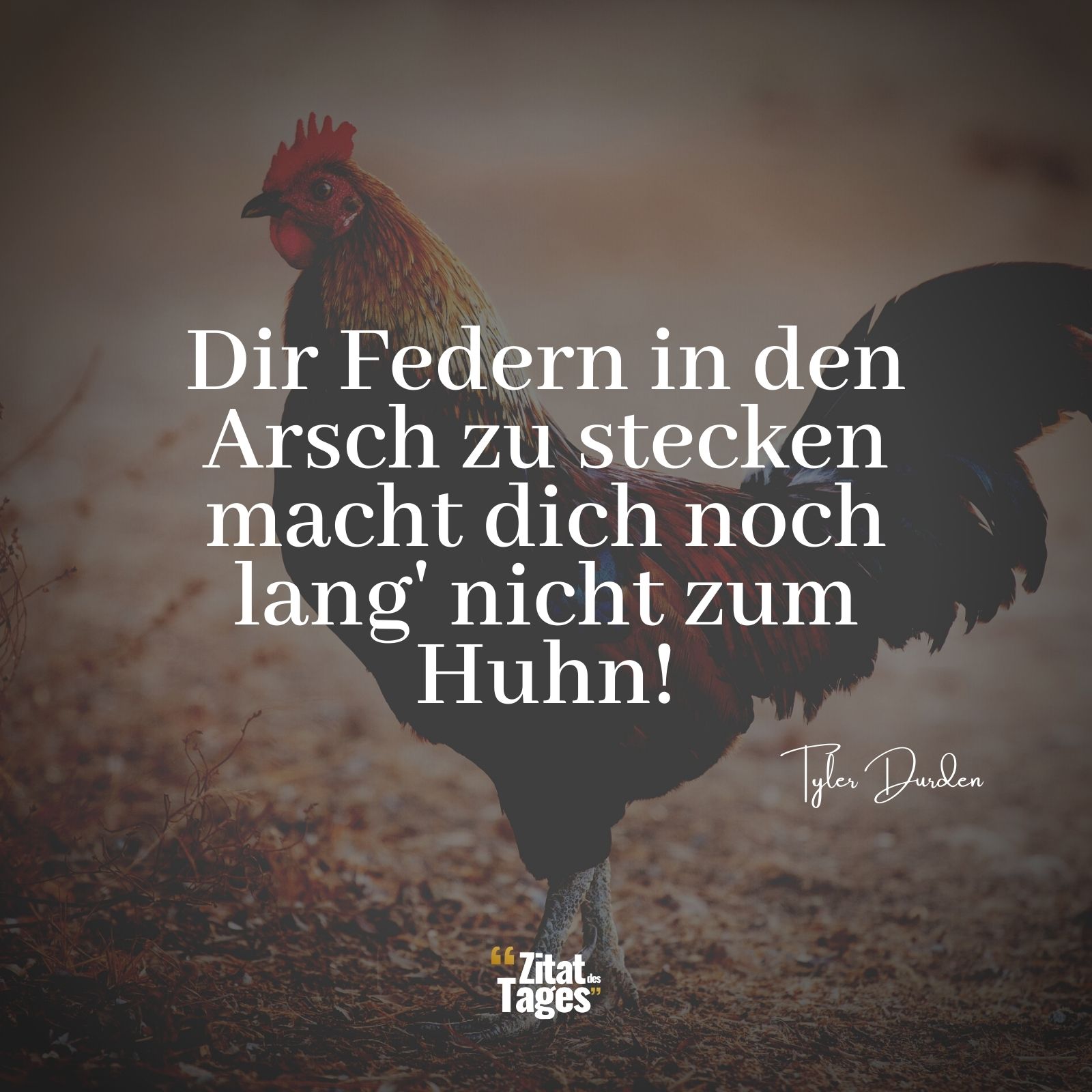 Dir Federn in den Arsch zu stecken macht dich noch lang' nicht zum Huhn! - Tyler Durden