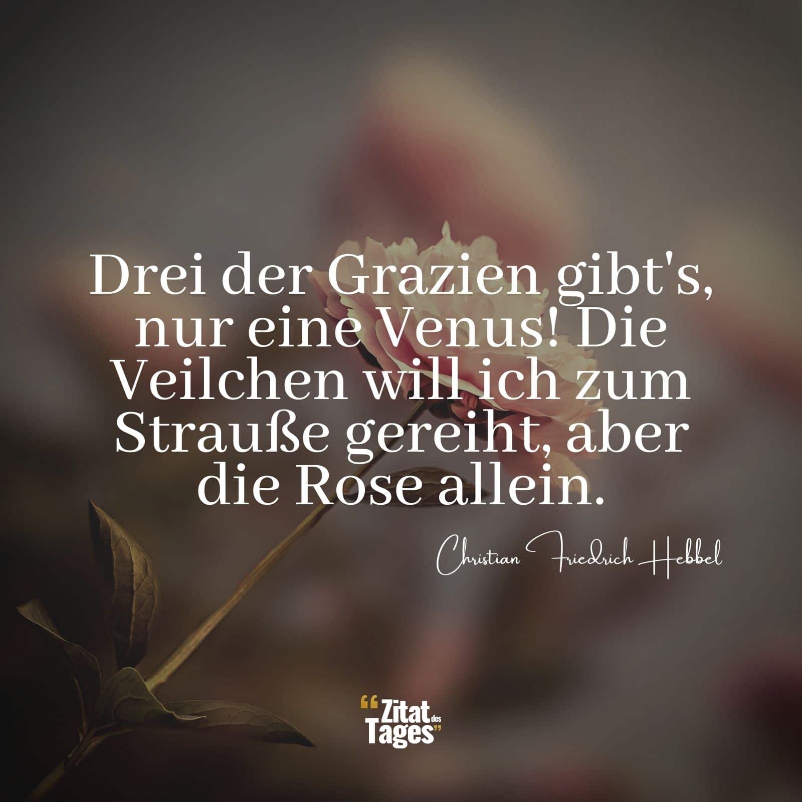 Drei der Grazien gibt's, nur eine Venus! Die Veilchen will ich zum Strauße gereiht, aber die Rose allein. - Christian Friedrich Hebbel