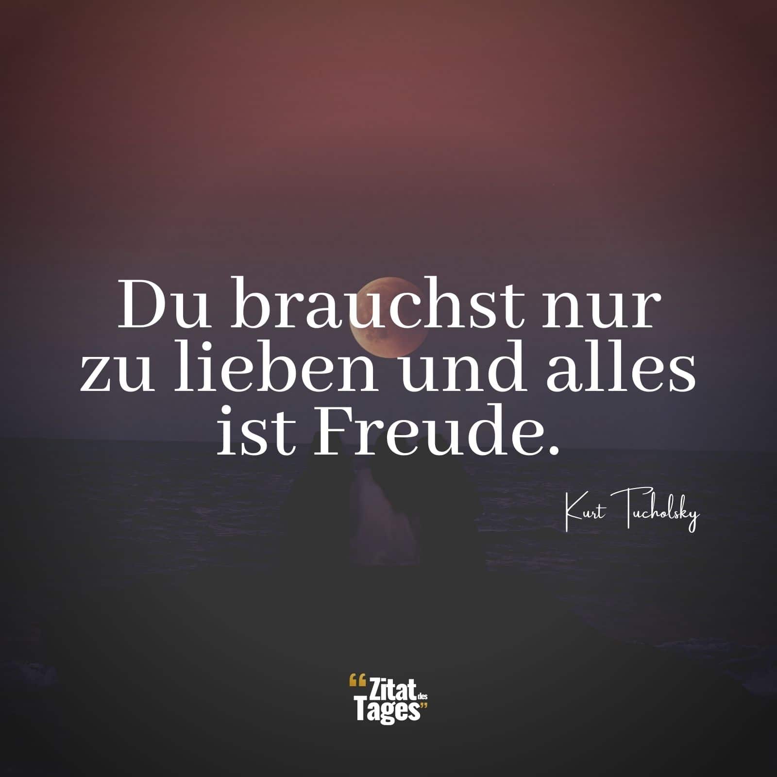 Du brauchst nur zu lieben und alles ist Freude. - Kurt Tucholsky