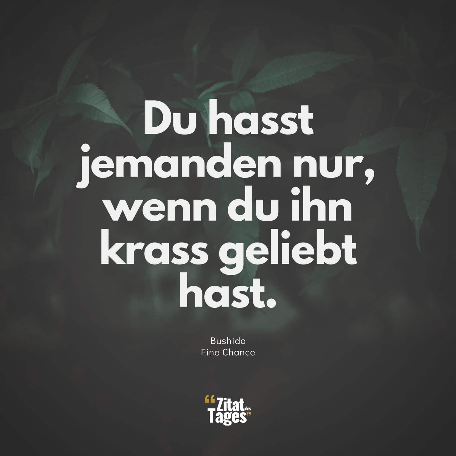 Du hasst jemanden nur, wenn du ihn krass geliebt hast. - Bushido