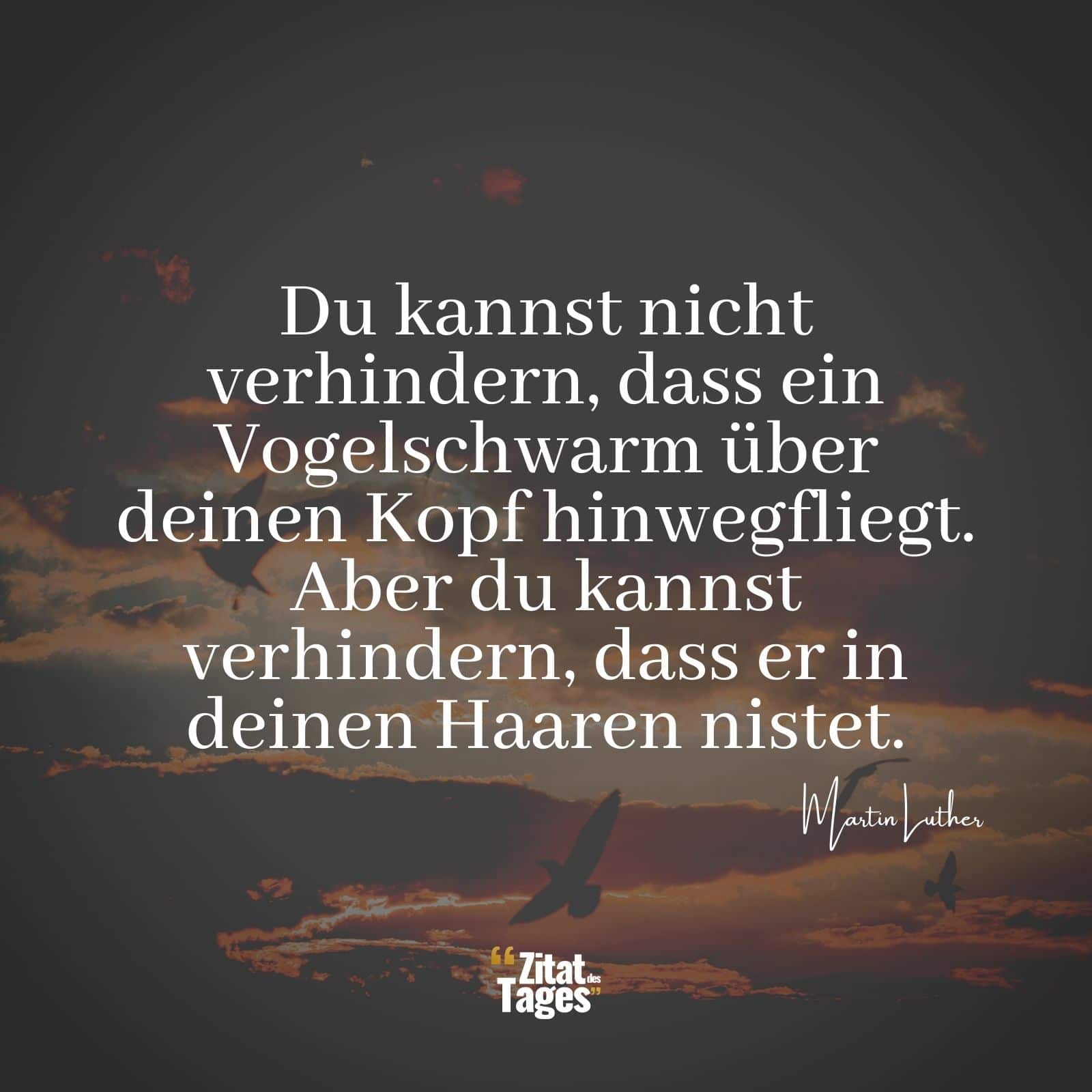 Du kannst nicht verhindern, dass ein Vogelschwarm über deinen Kopf hinwegfliegt. Aber du kannst verhindern, dass er in deinen Haaren nistet. - Martin Luther