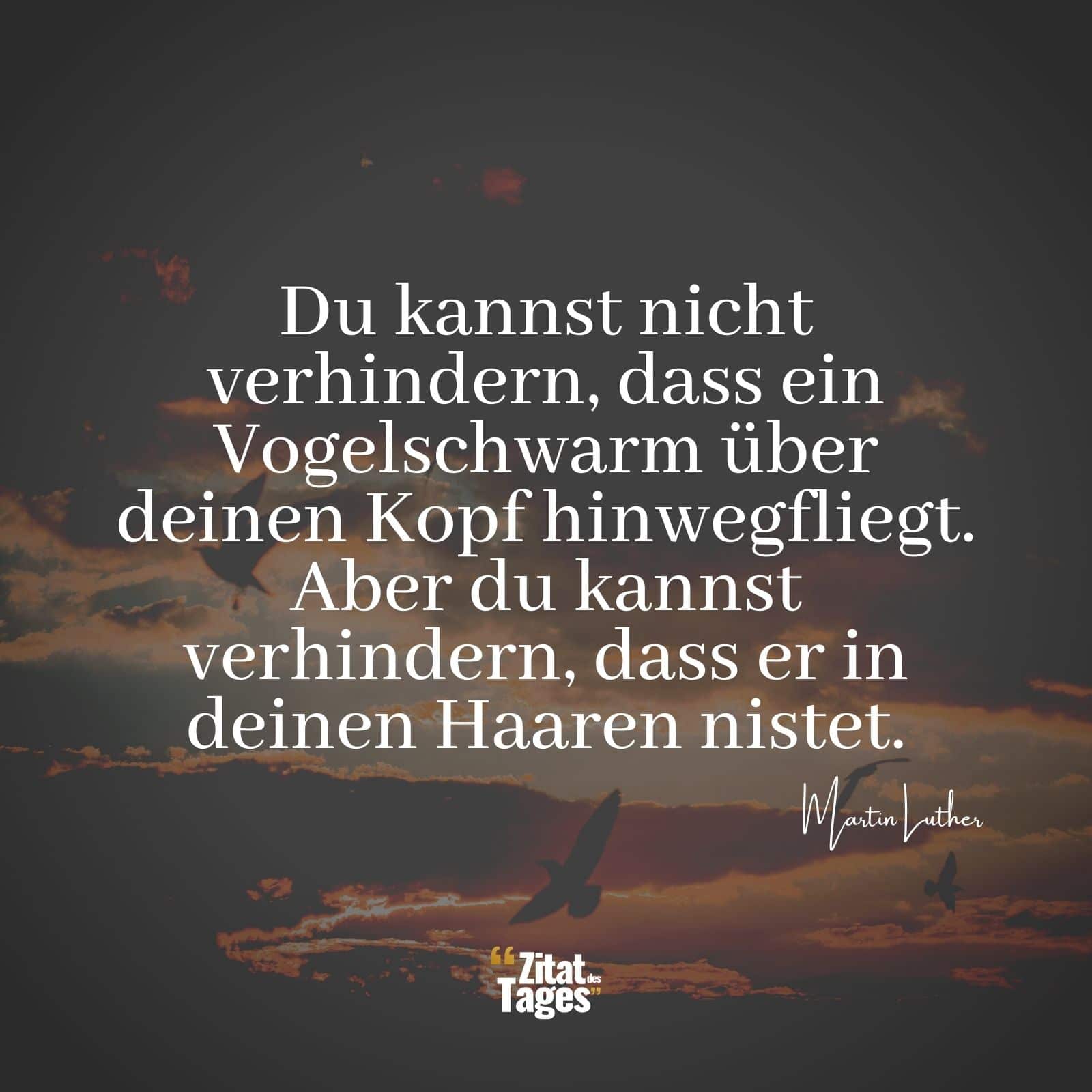 Du kannst nicht verhindern, dass ein Vogelschwarm über deinen Kopf hinwegfliegt. Aber du kannst verhindern, dass er in deinen Haaren nistet. - Martin Luther