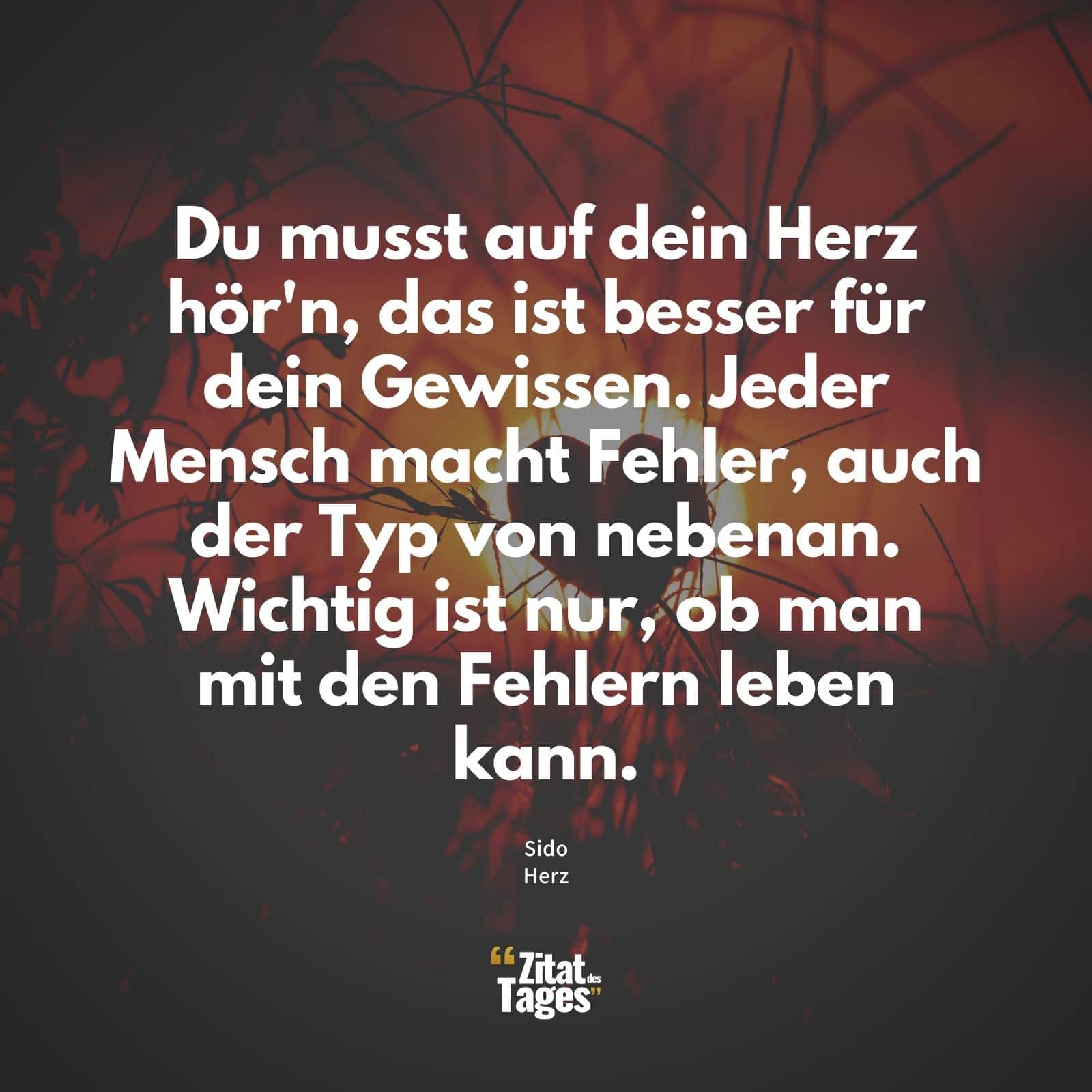 Du musst auf dein Herz hör'n, das ist besser für dein Gewissen. Jeder Mensch macht Fehler, auch der Typ von nebenan. Wichtig ist nur, ob man mit den Fehlern leben kann. - Sido