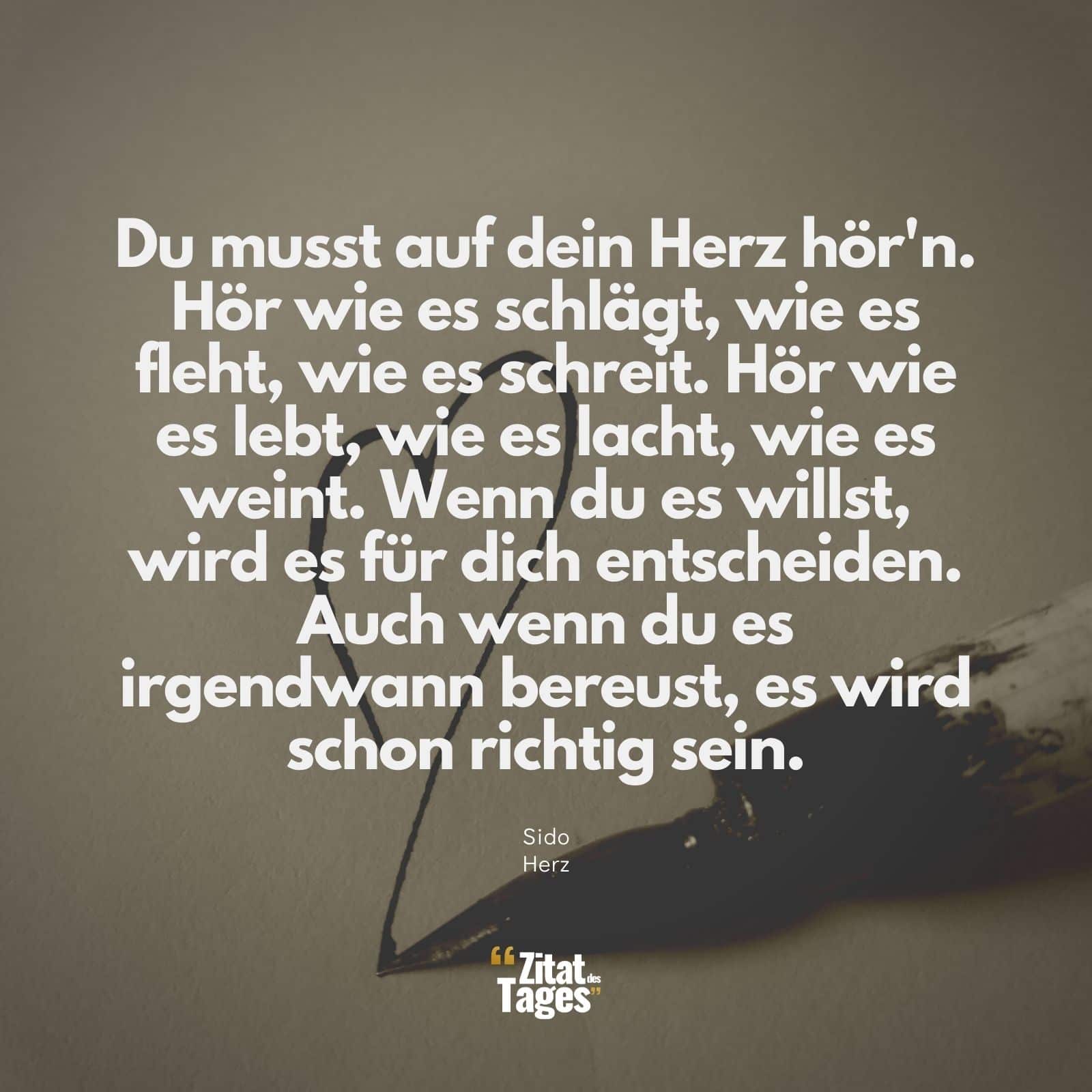 Du musst auf dein Herz hör'n. Hör wie es schlägt, wie es fleht, wie es schreit. Hör wie es lebt, wie es lacht, wie es weint. Wenn du es willst, wird es für dich entscheiden. Auch wenn du es irgendwann bereust, es wird schon richtig sein. - Sido