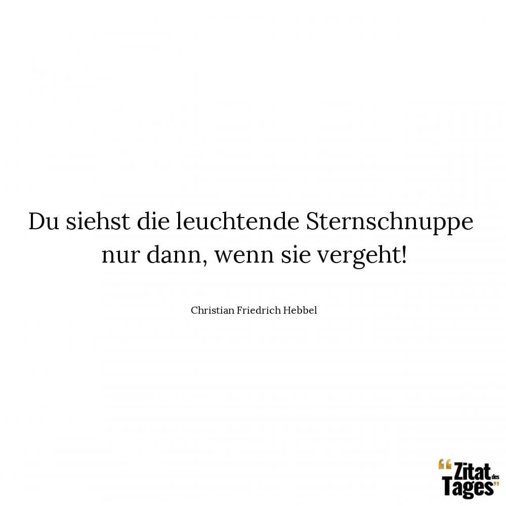 Du siehst die leuchtende Sternschnuppe nur dann, wenn sie vergeht! - Christian Friedrich Hebbel