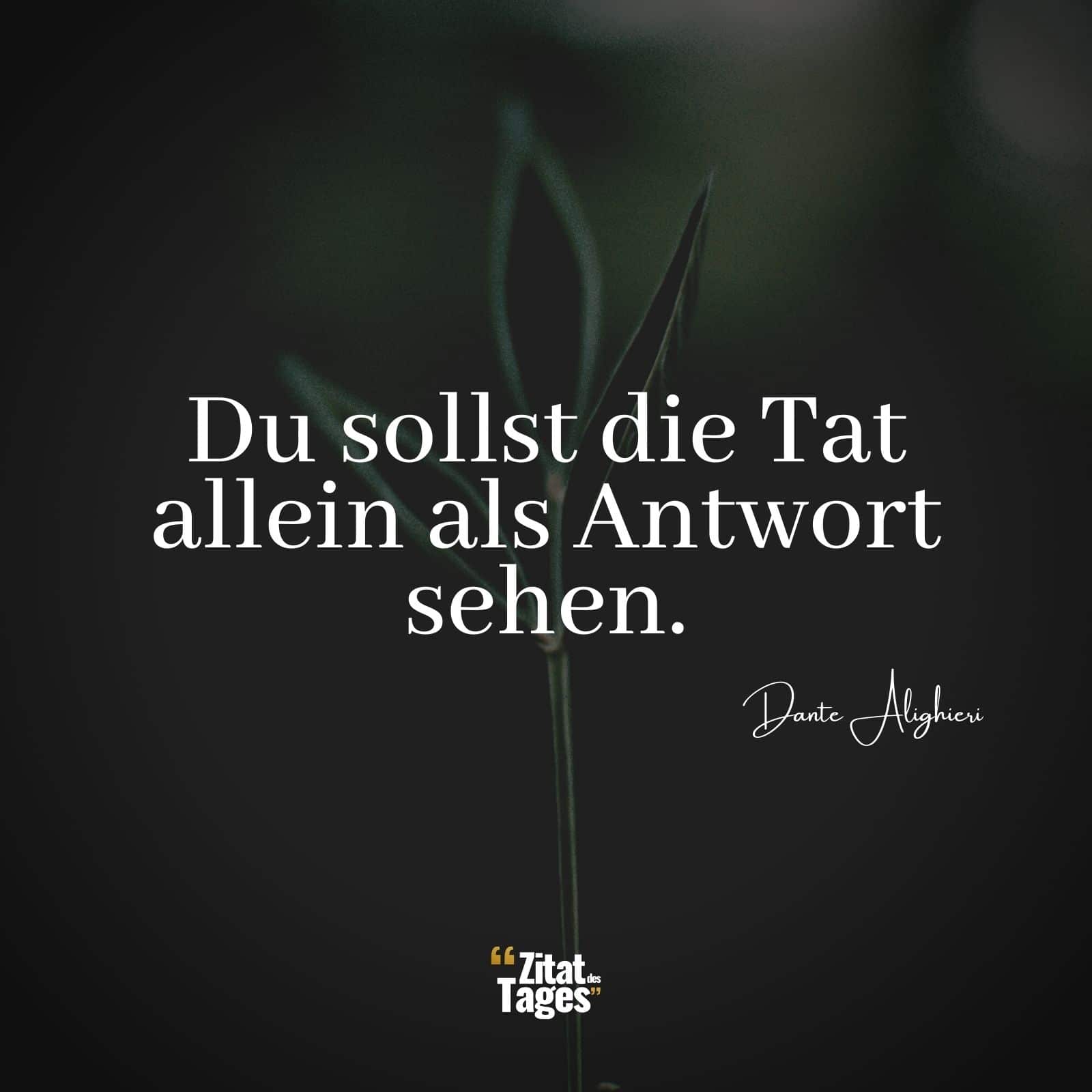 Du sollst die Tat allein als Antwort sehen. - Dante Alighieri