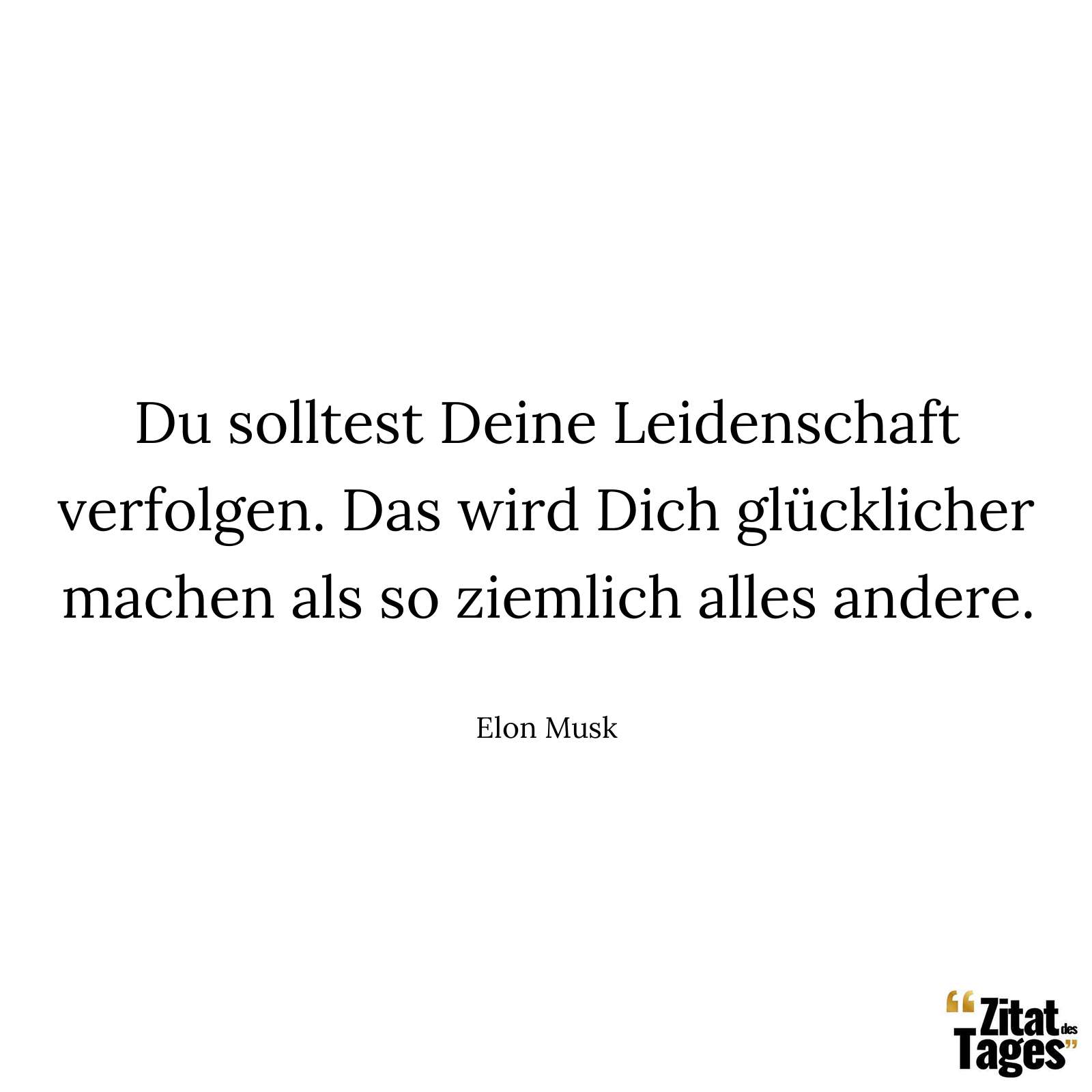 Du solltest Deine Leidenschaft verfolgen. Das wird Dich glücklicher machen als so ziemlich alles andere. - Elon Musk