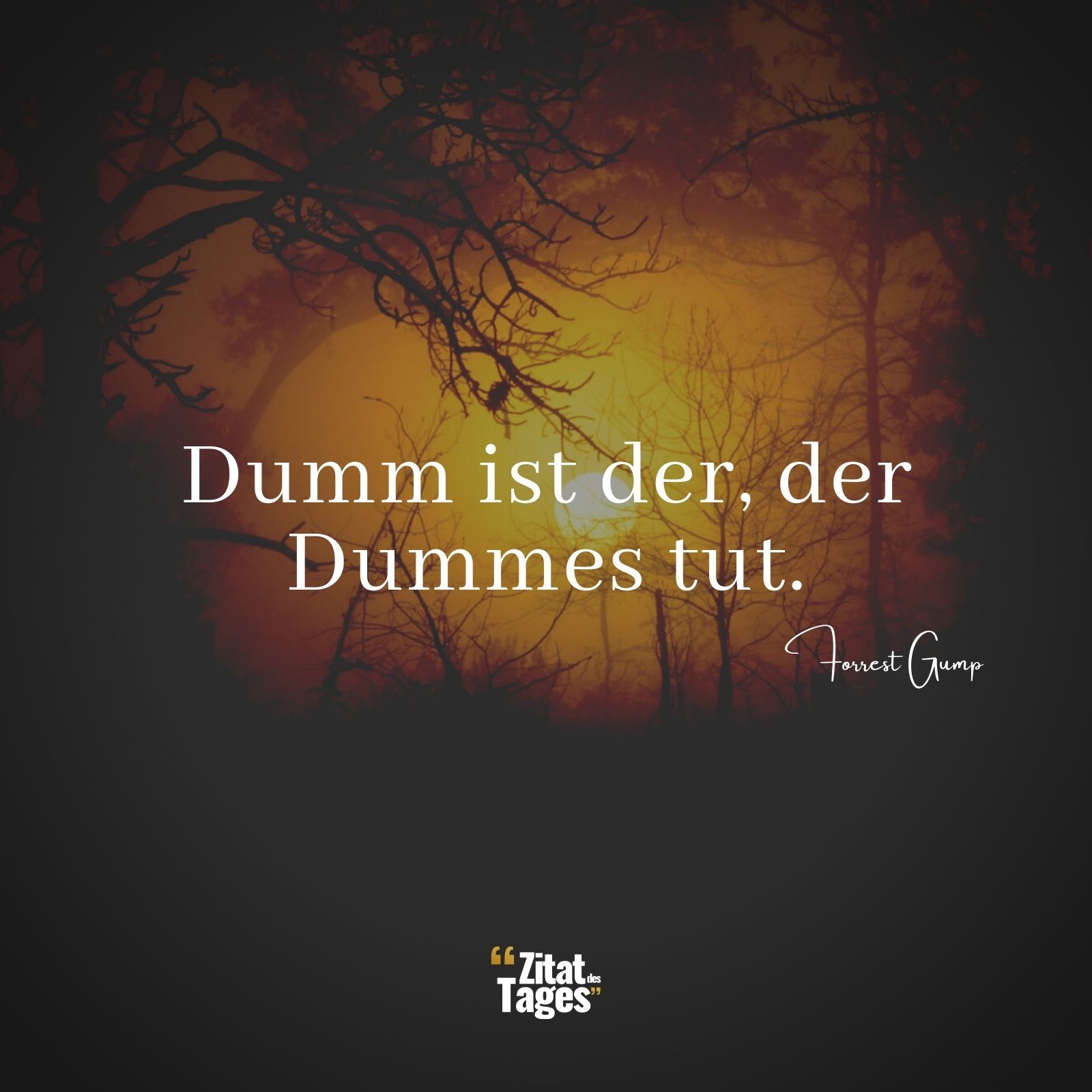 Dumm ist der, der Dummes tut. - Forrest Gump