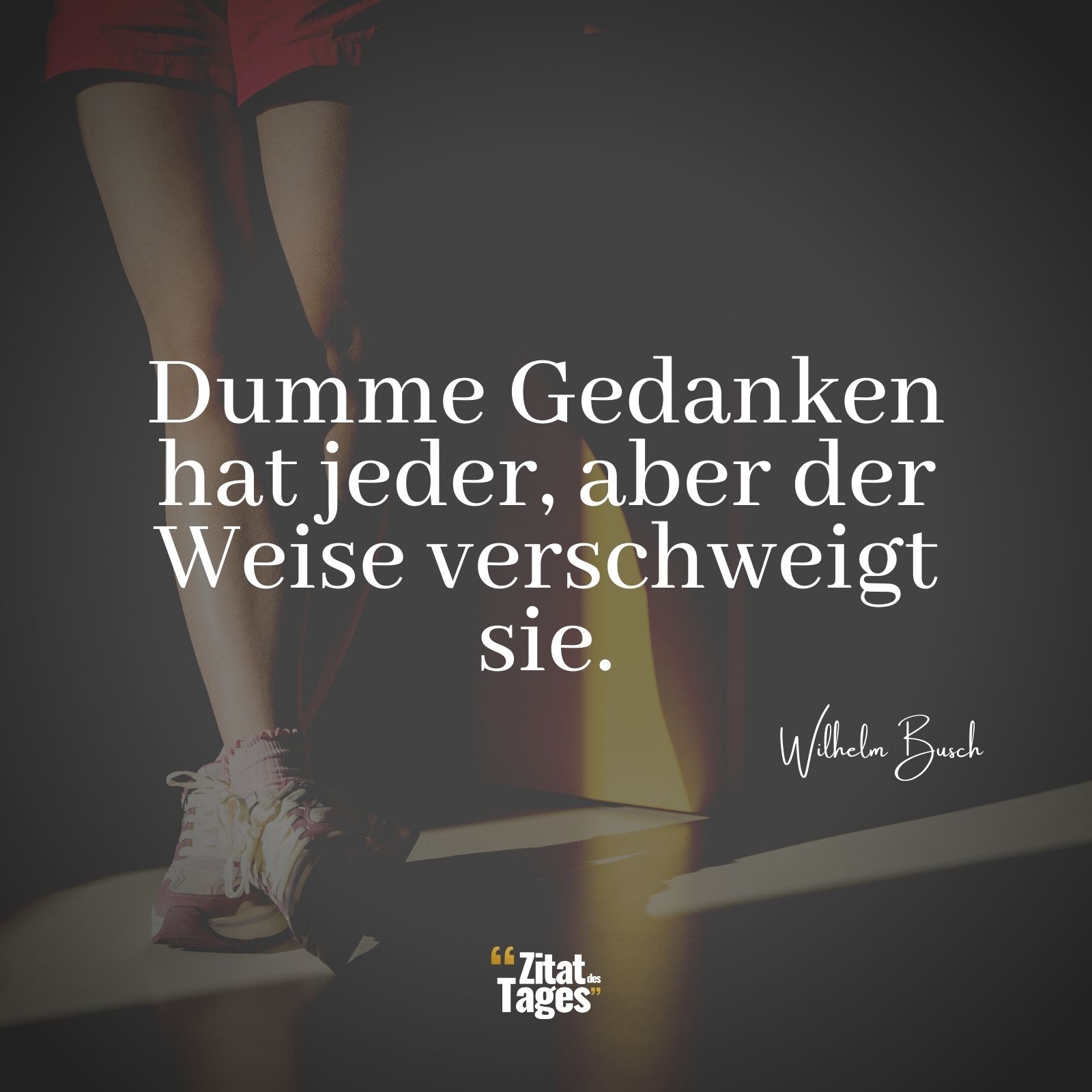 Dumme Gedanken hat jeder, aber der Weise verschweigt sie. - Wilhelm Busch