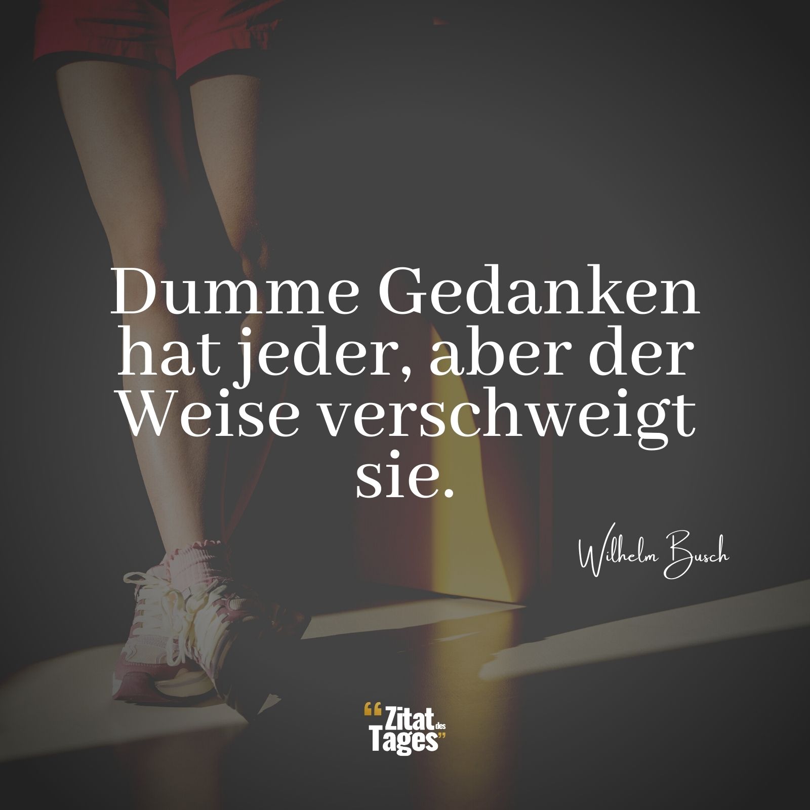 Dumme Gedanken hat jeder, aber der Weise verschweigt sie. - Wilhelm Busch