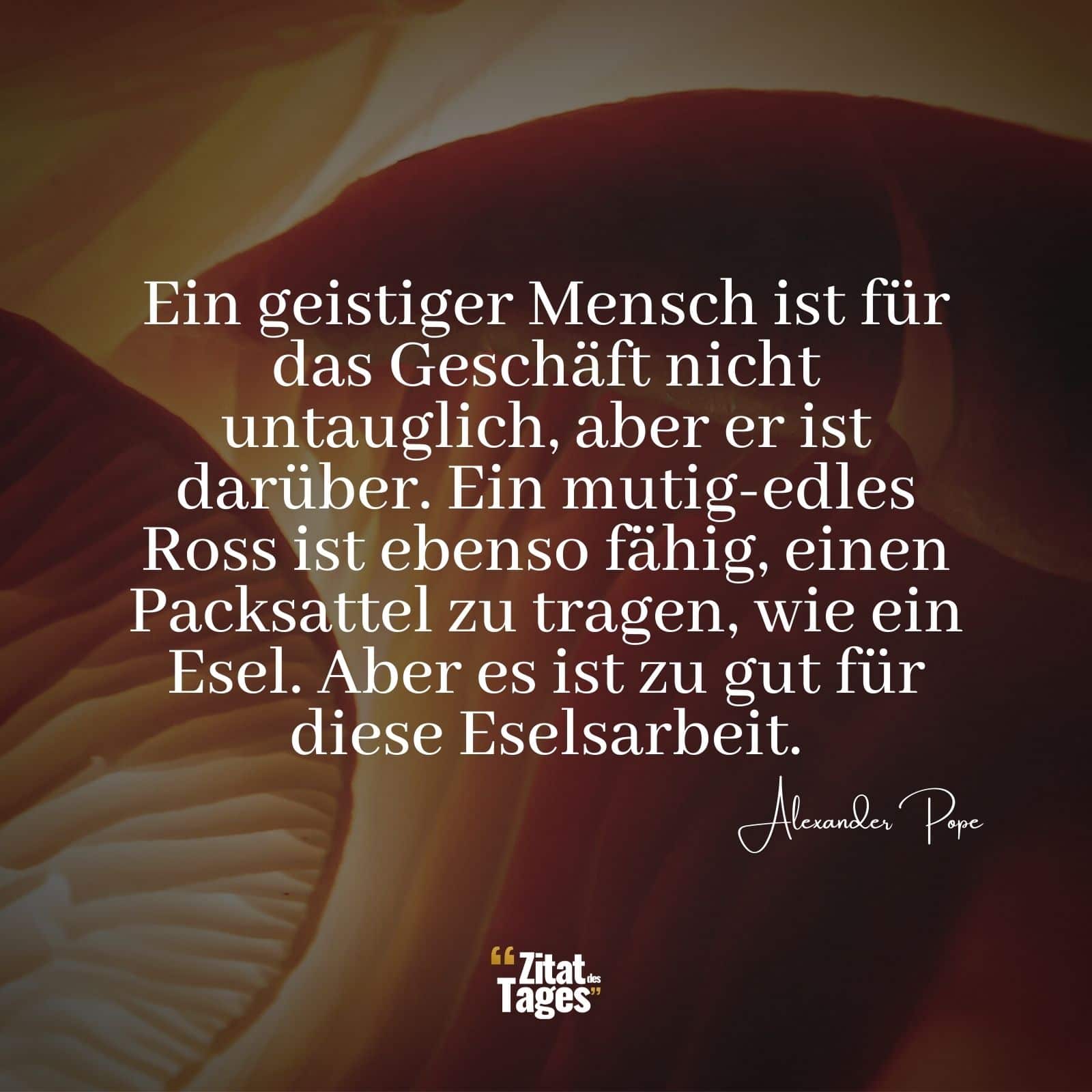 Ein geistiger Mensch ist für das Geschäft nicht untauglich, aber er ist darüber. Ein mutig-edles Ross ist ebenso fähig, einen Packsattel zu tragen, wie ein Esel. Aber es ist zu gut für diese Eselsarbeit. - Alexander Pope