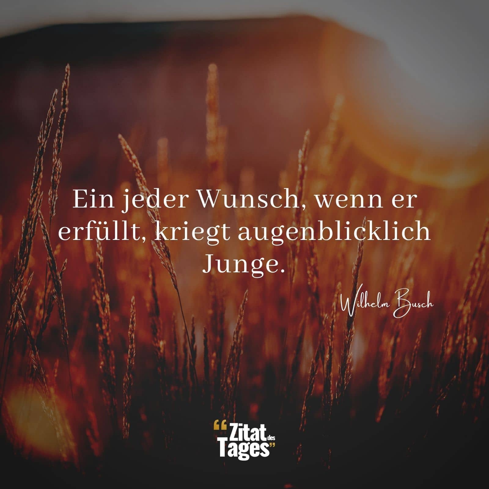 Ein jeder Wunsch, wenn er erfüllt, kriegt augenblicklich Junge. - Wilhelm Busch