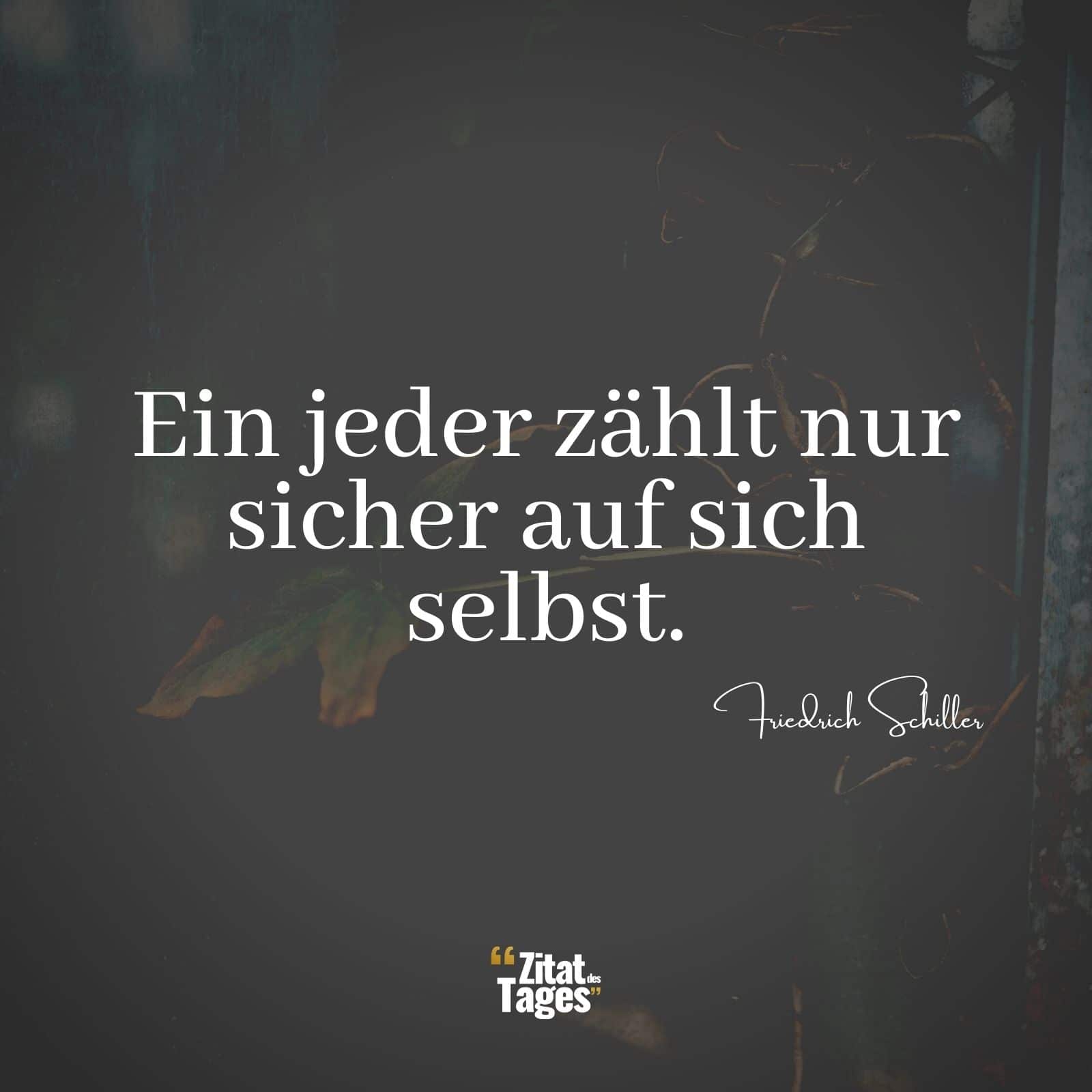 Ein jeder zählt nur sicher auf sich selbst. - Friedrich Schiller