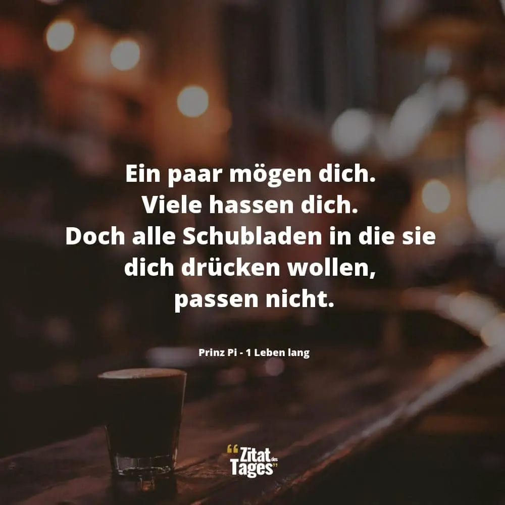 Ein paar mögen dich. Viele hassen dich. Doch alle Schubladen in die sie dich drücken wollen, passen nicht. - Prinz Pi