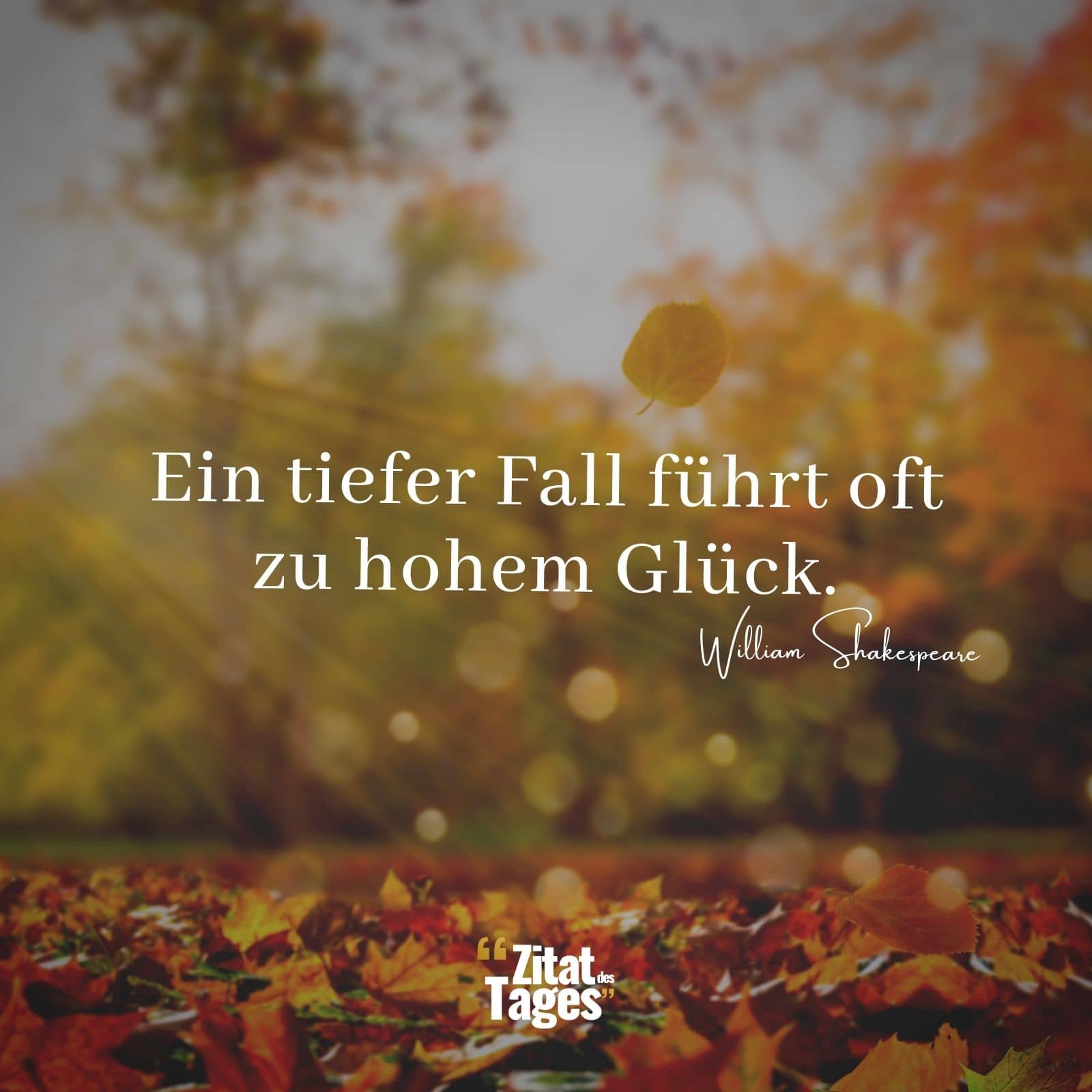 Ein tiefer Fall führt oft zu hohem Glück. - William Shakespeare