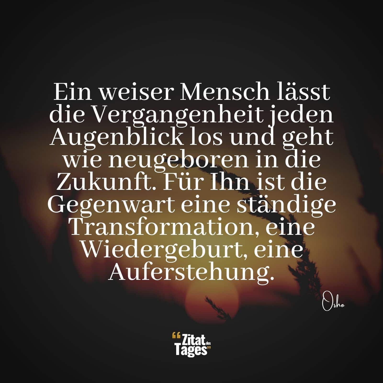 Ein weiser Mensch lässt die Vergangenheit jeden Augenblick los und geht wie neugeboren in die Zukunft. Für Ihn ist die Gegenwart eine ständige Transformation, eine Wiedergeburt, eine Auferstehung. - Osho