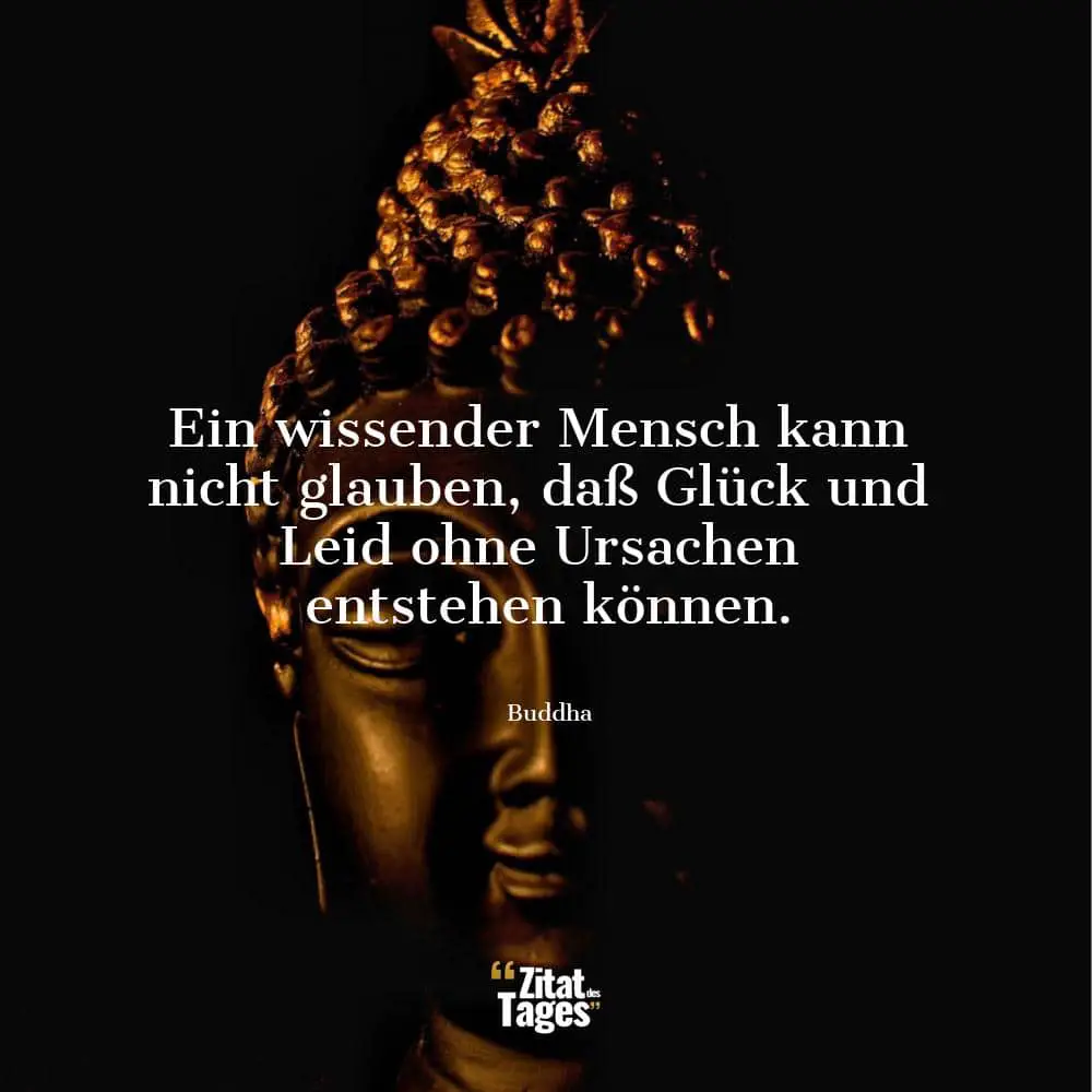 Ein wissender Mensch kann nicht glauben, daß Glück und Leid ohne Ursachen entstehen können. - Buddha