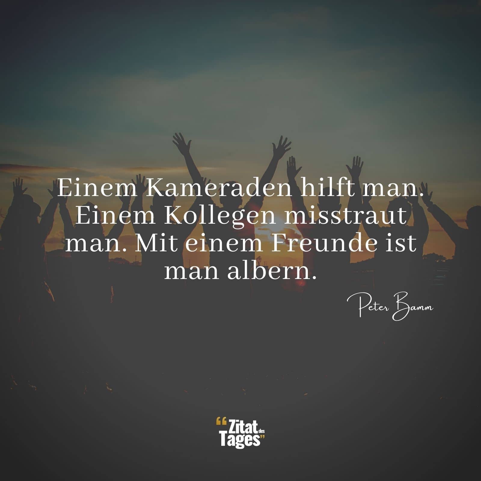 Einem Kameraden hilft man. Einem Kollegen misstraut man. Mit einem Freunde ist man albern. - Peter Bamm