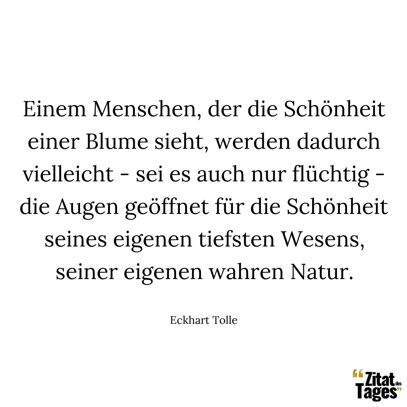 Einem Menschen, der die Schönheit einer Blume sieht, werden dadurch vielleicht - sei es auch nur flüchtig - die Augen geöffnet für die Schönheit seines eigenen tiefsten Wesens, seiner eigenen wahren Natur. - Eckhart Tolle